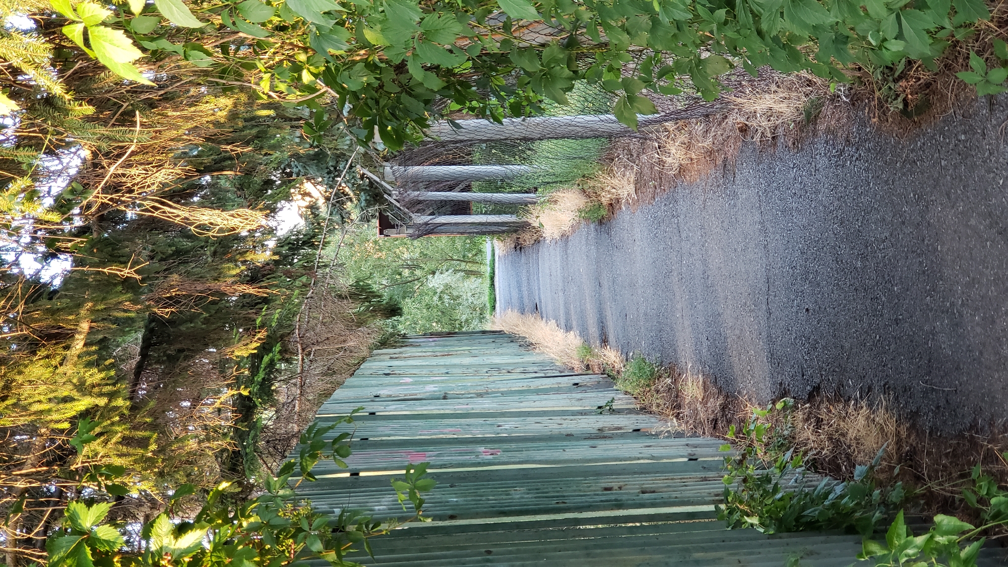 Walking a mixed-path route through Prešov, ending indoors