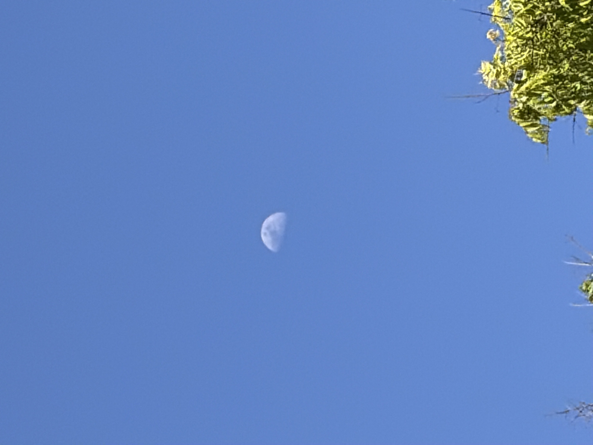 Daytime half-moon photographed over Jerusalem