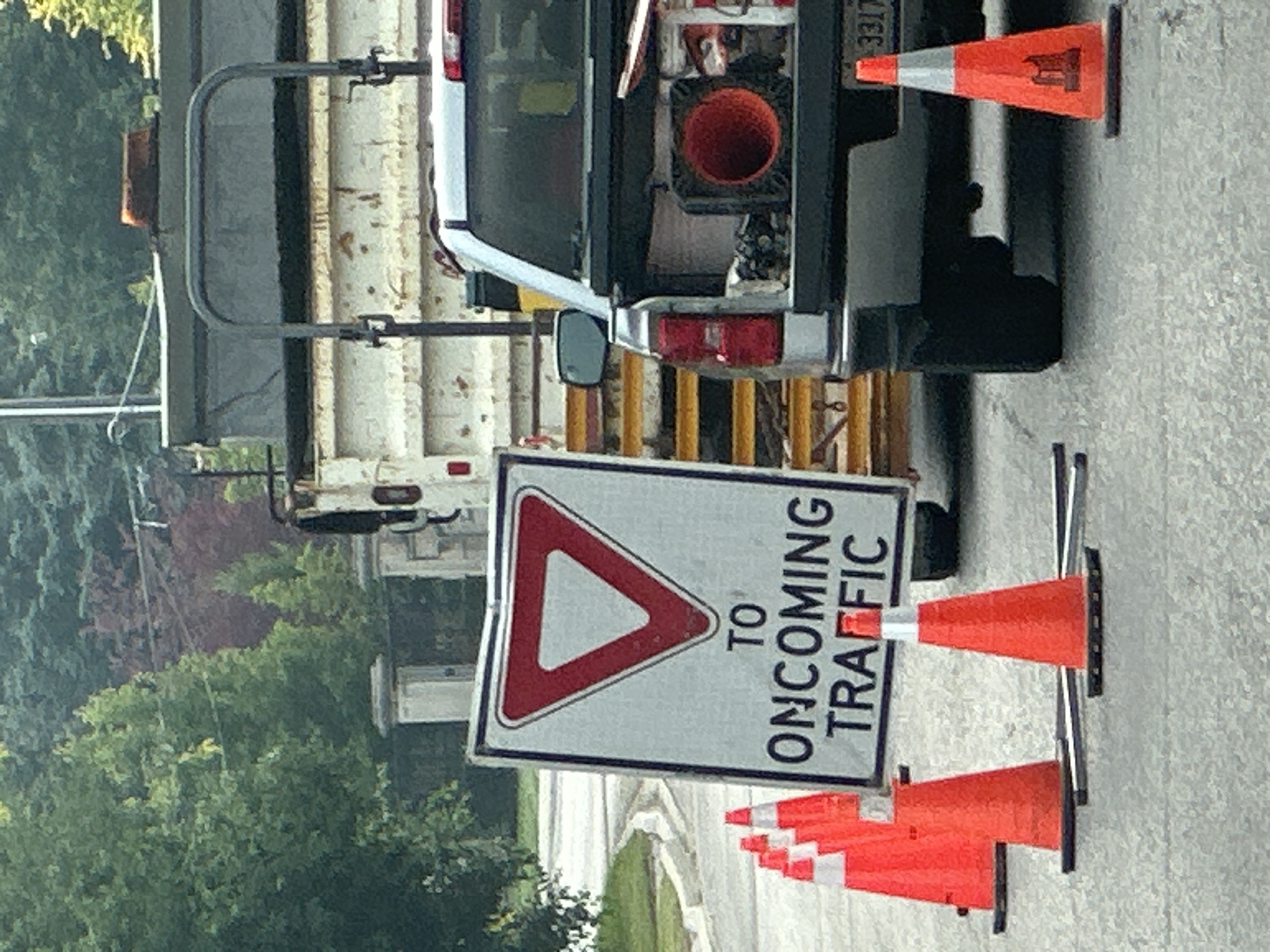Richmond Hill suburban streets, construction activity, and food moments