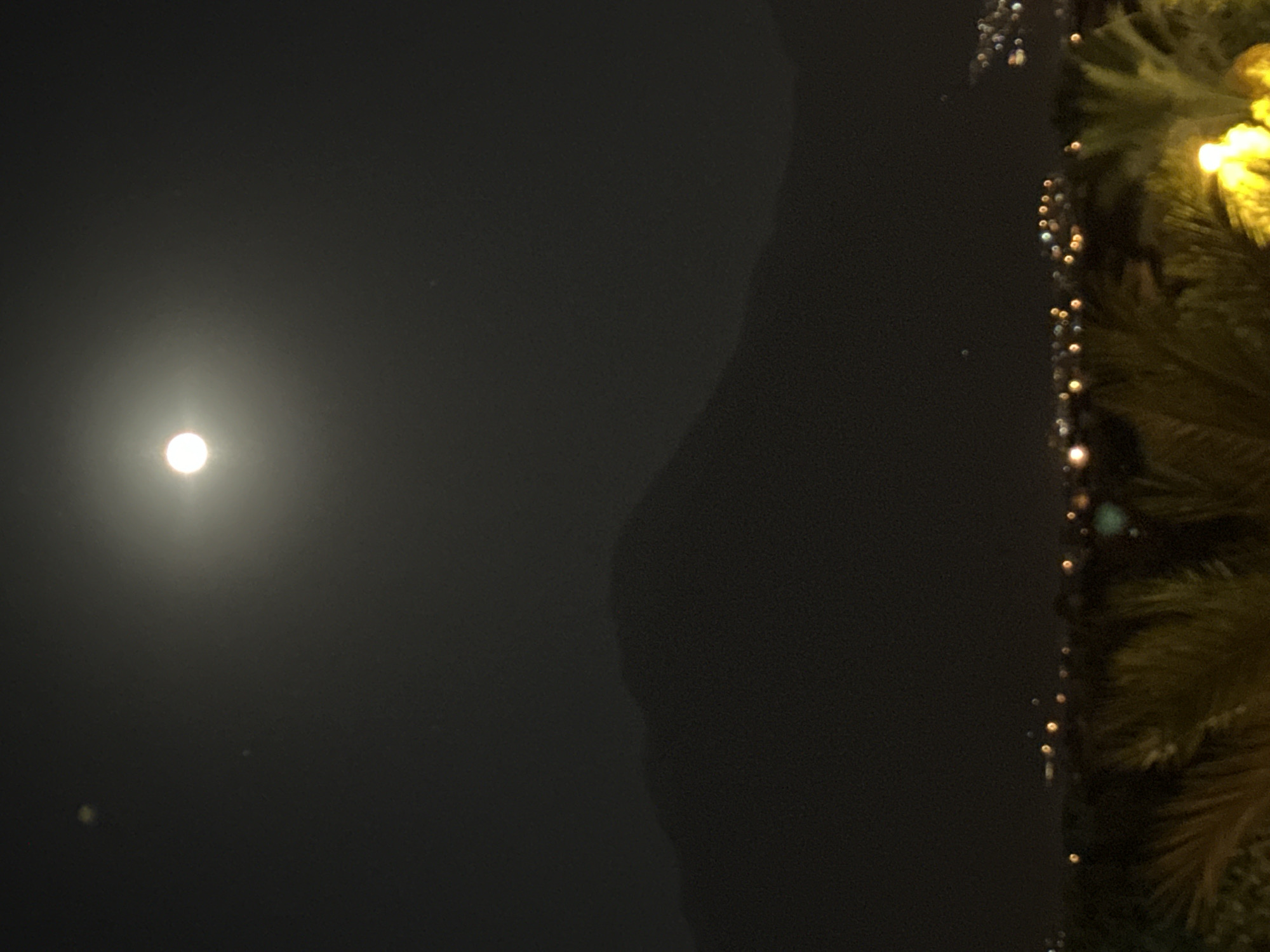 Full moon night over Fethiye's palm-lined streets