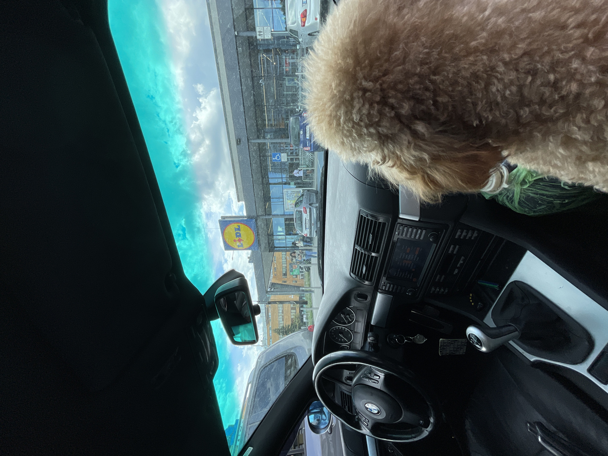 Dog, cars, motorcycles spotted at Varna shopping center