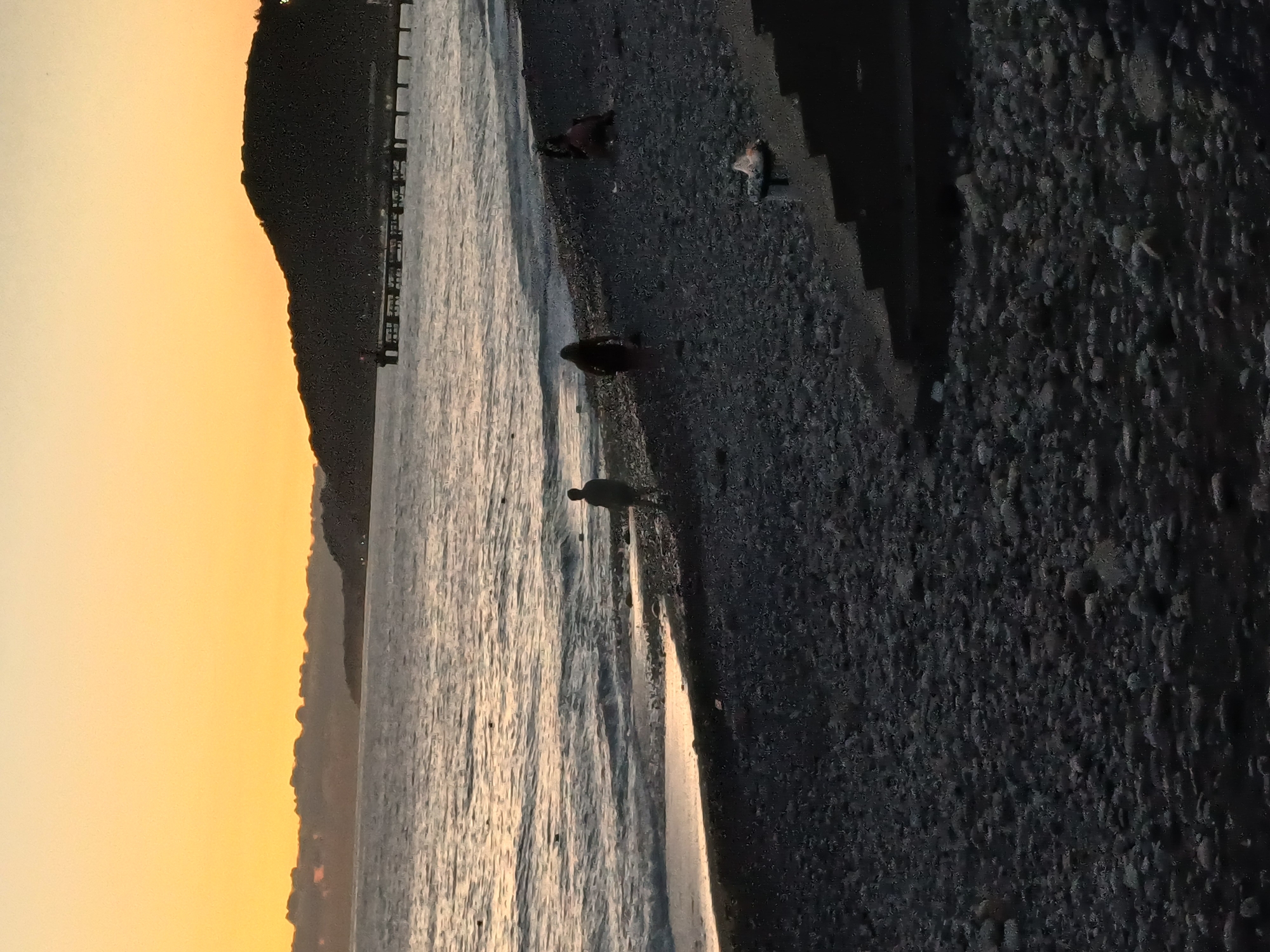 Family evening on the Sochi pebble beach at sunset
