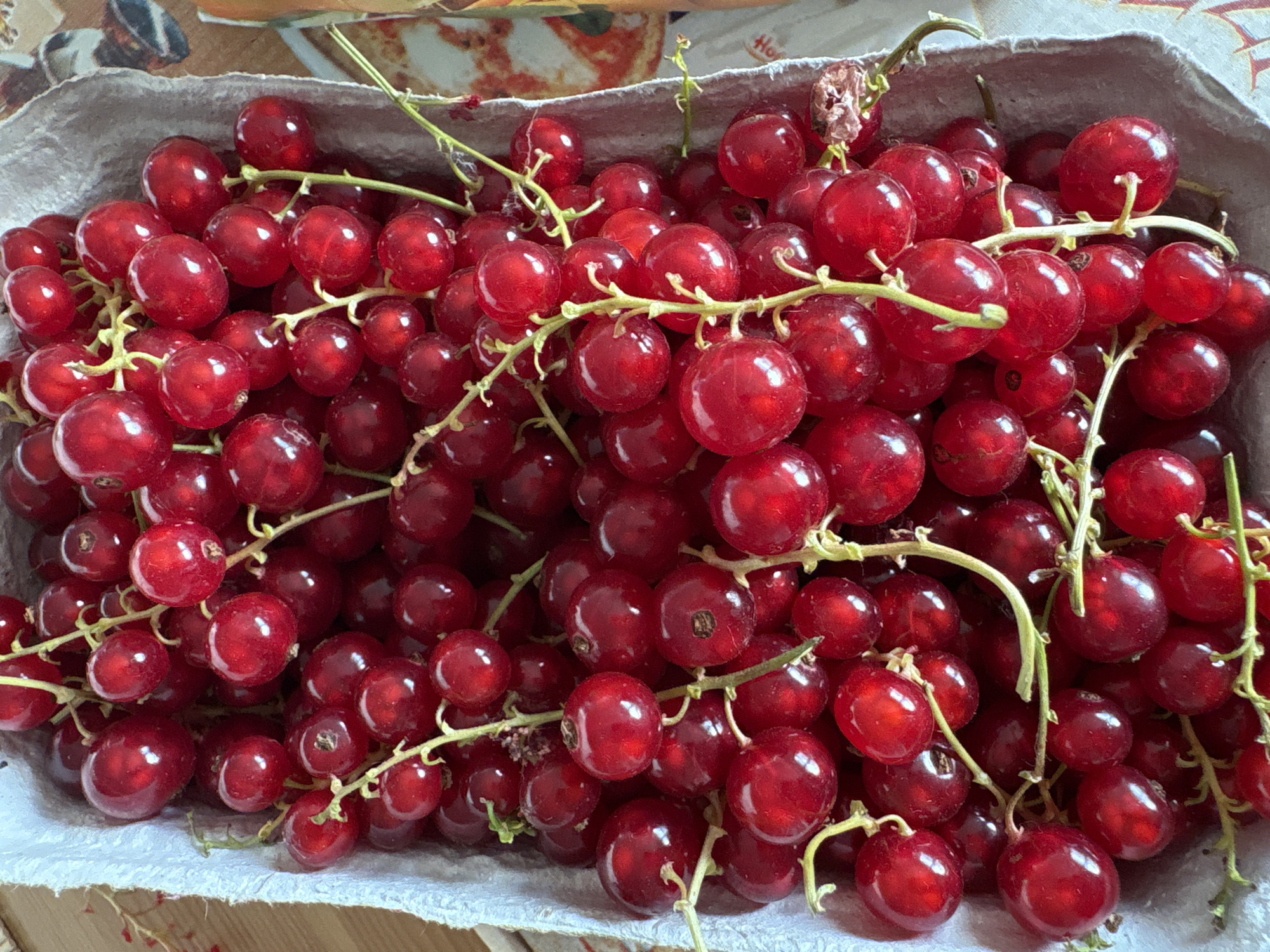 Fresh red currants and apricots at a Parchim market