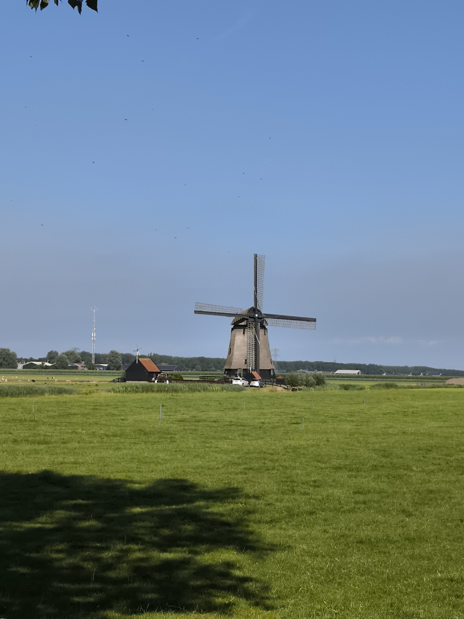 Zuidschermer, Netherlands