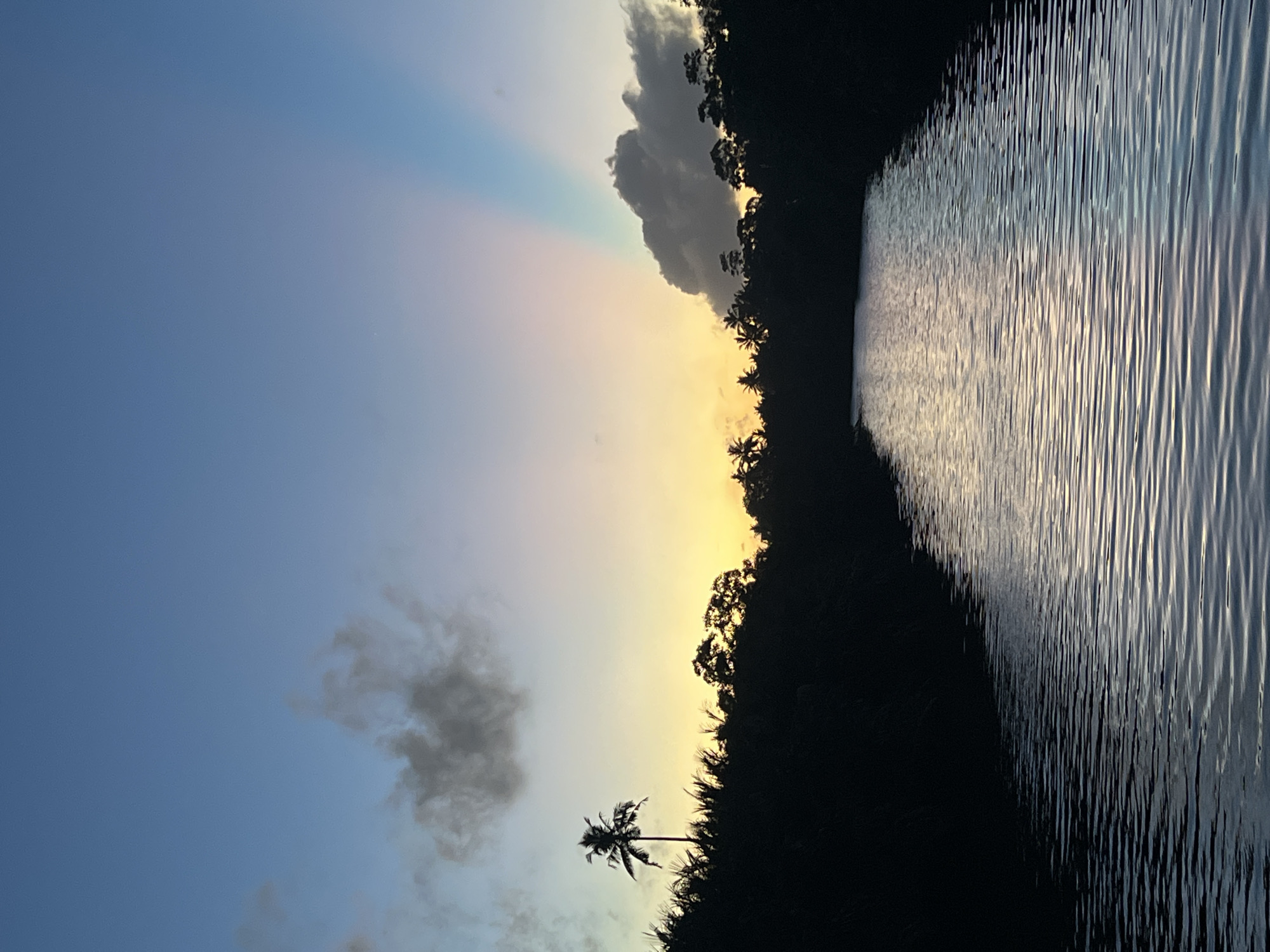 Evening riverside gathering with grilling captured in Sri Lanka