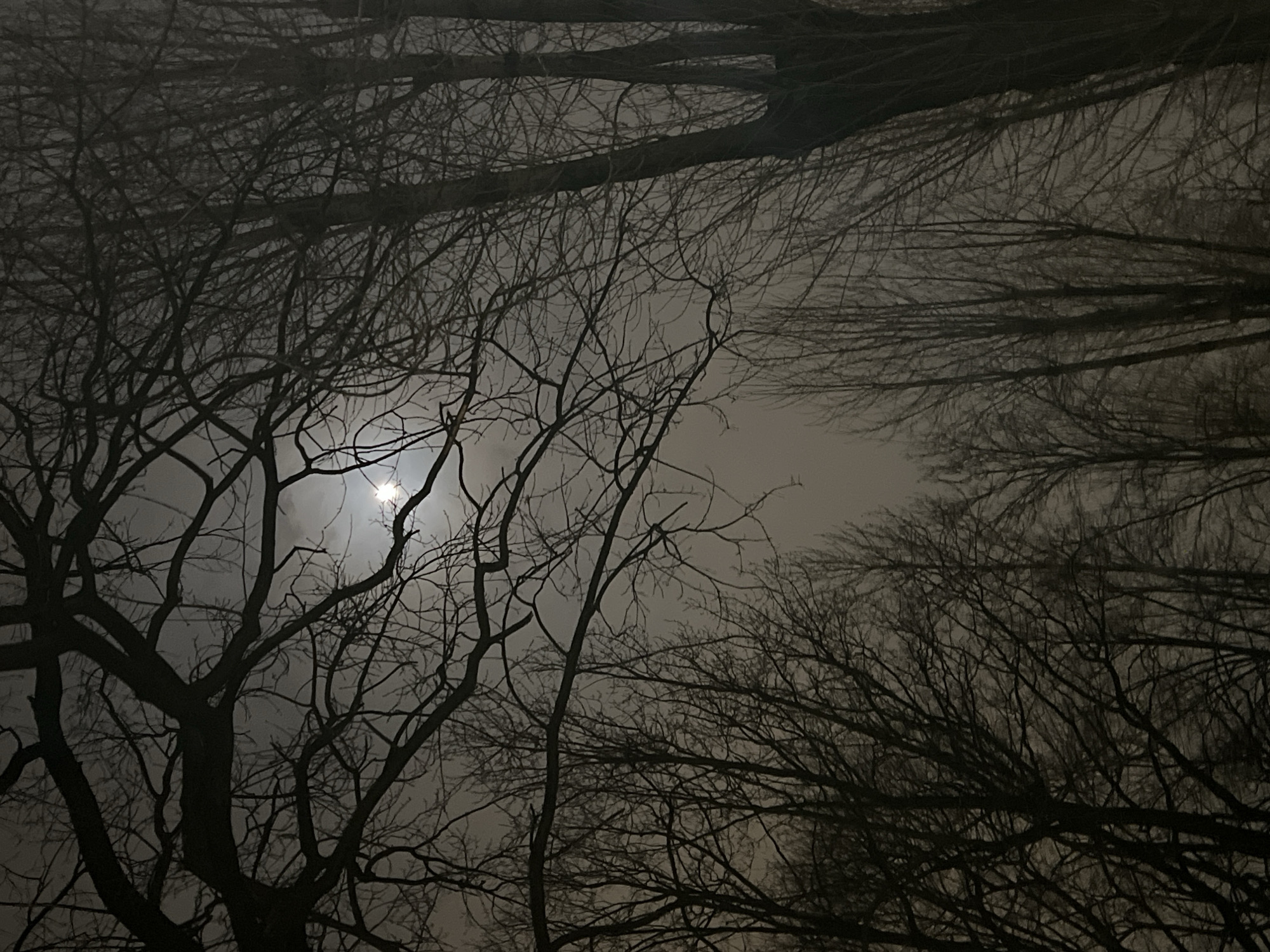 Evening life captured across Saint Petersburg neighborhoods