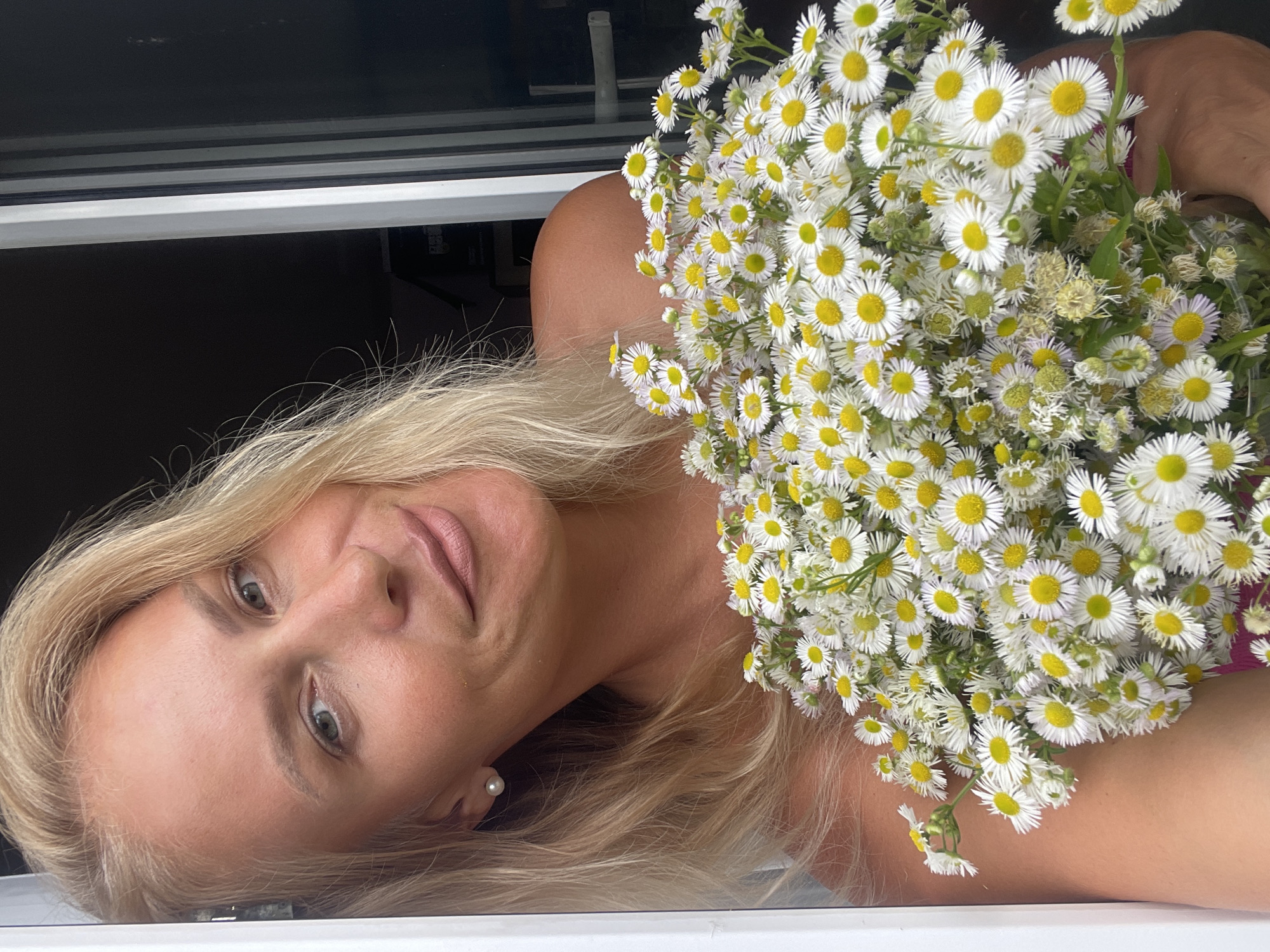 Hamster in the grass, roses, and daisies in Baranovka