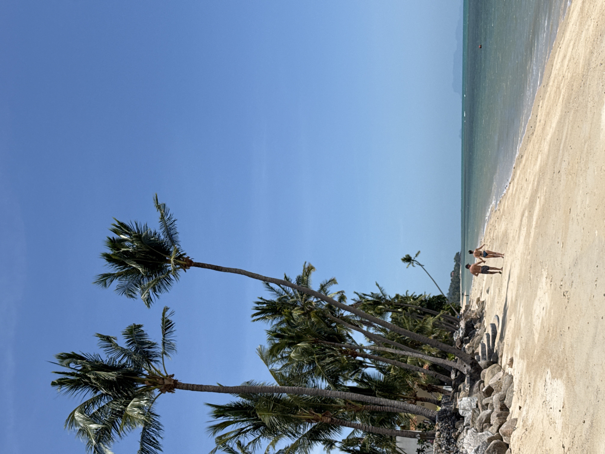 Early morning life along a Ko Samui beach