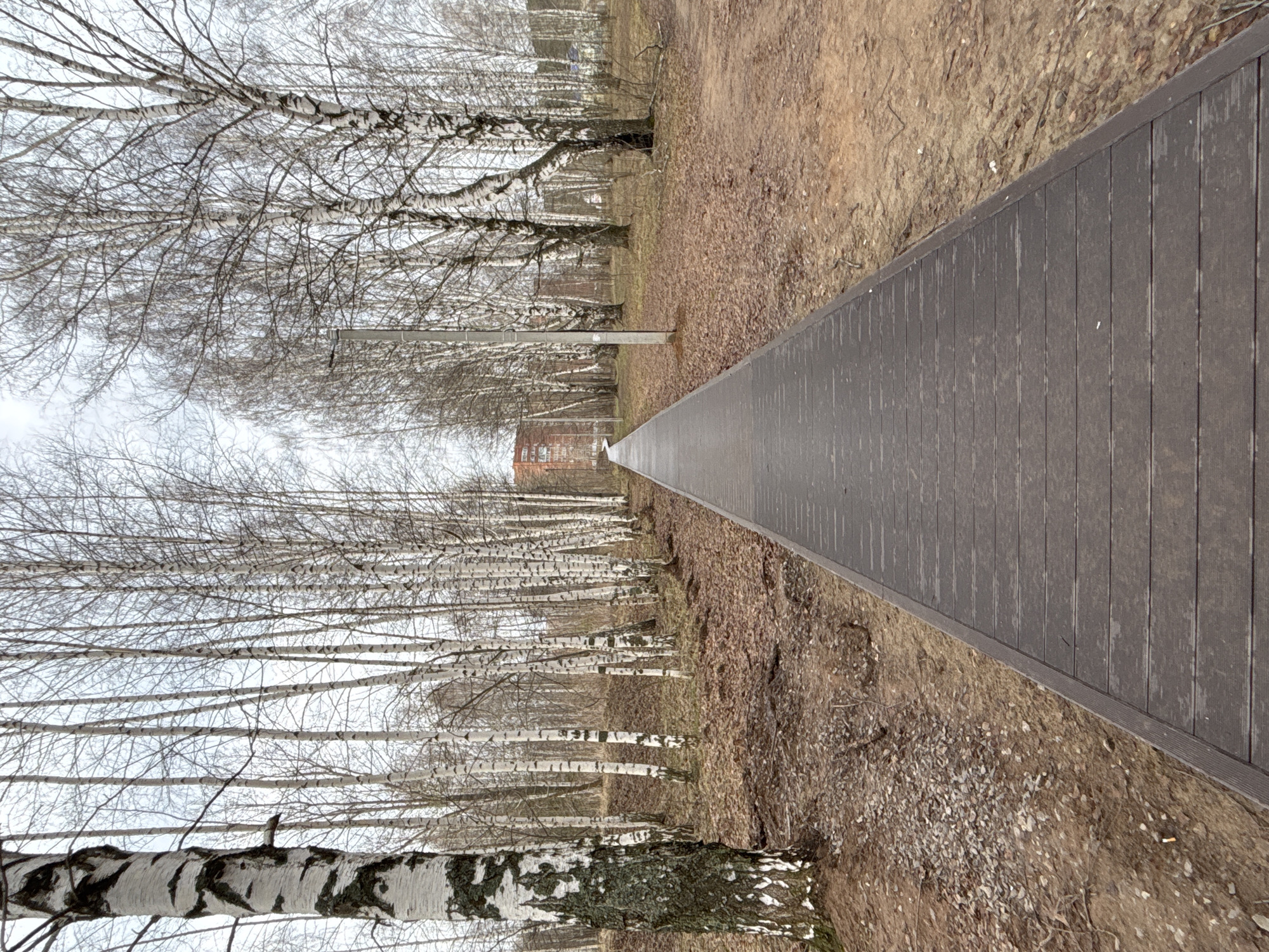 Early morning pedestrians observed on Chaikovsky walkways and parks