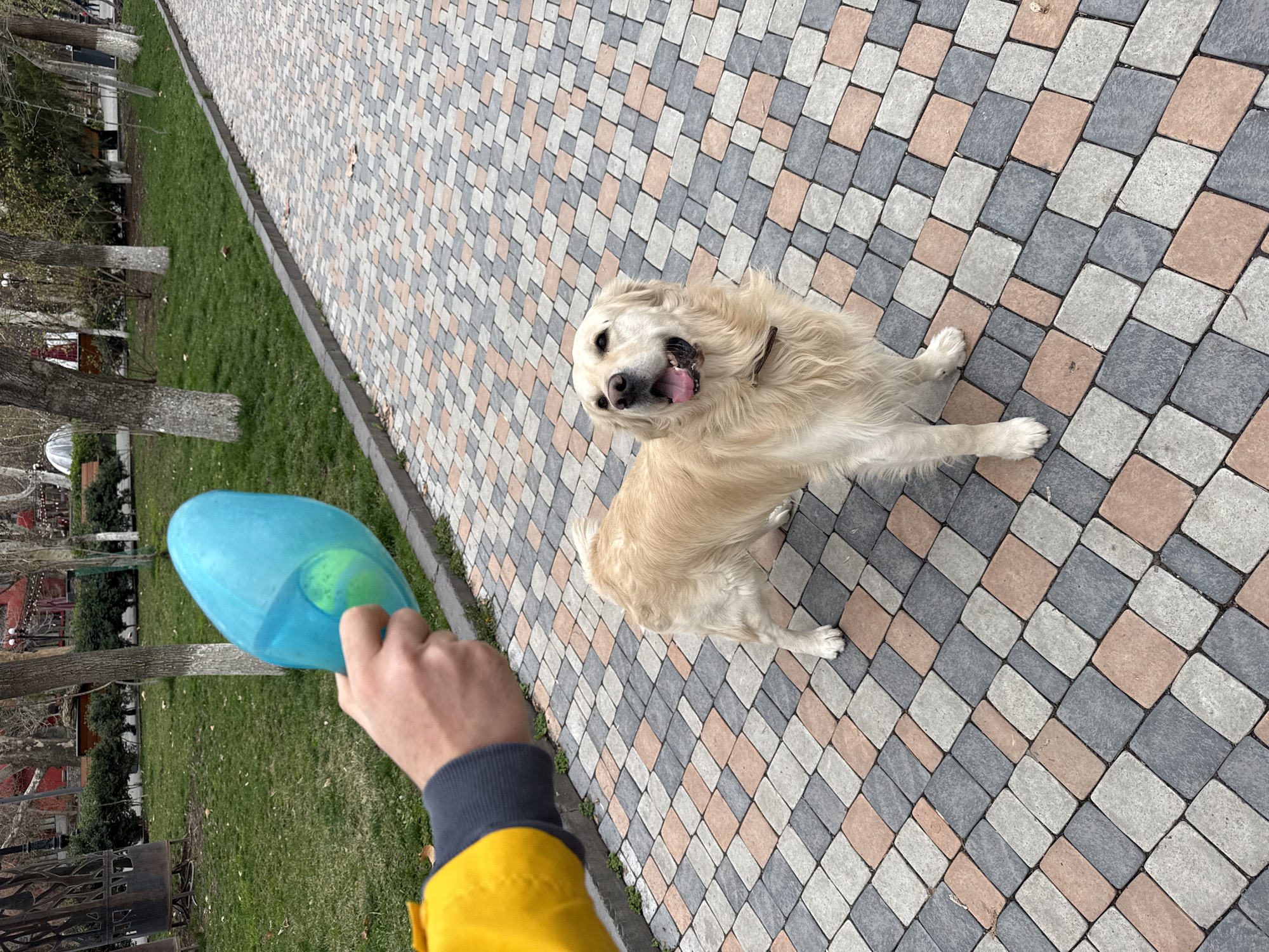 Woman and dog captured in casual Yerevan street moments