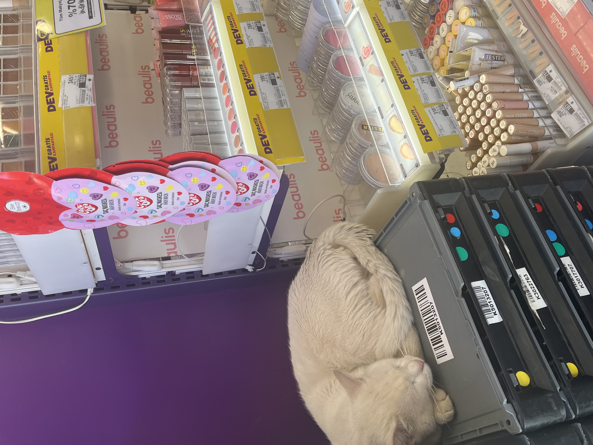 Cosmetics display and sleeping cat observed in Alanya, Turkey