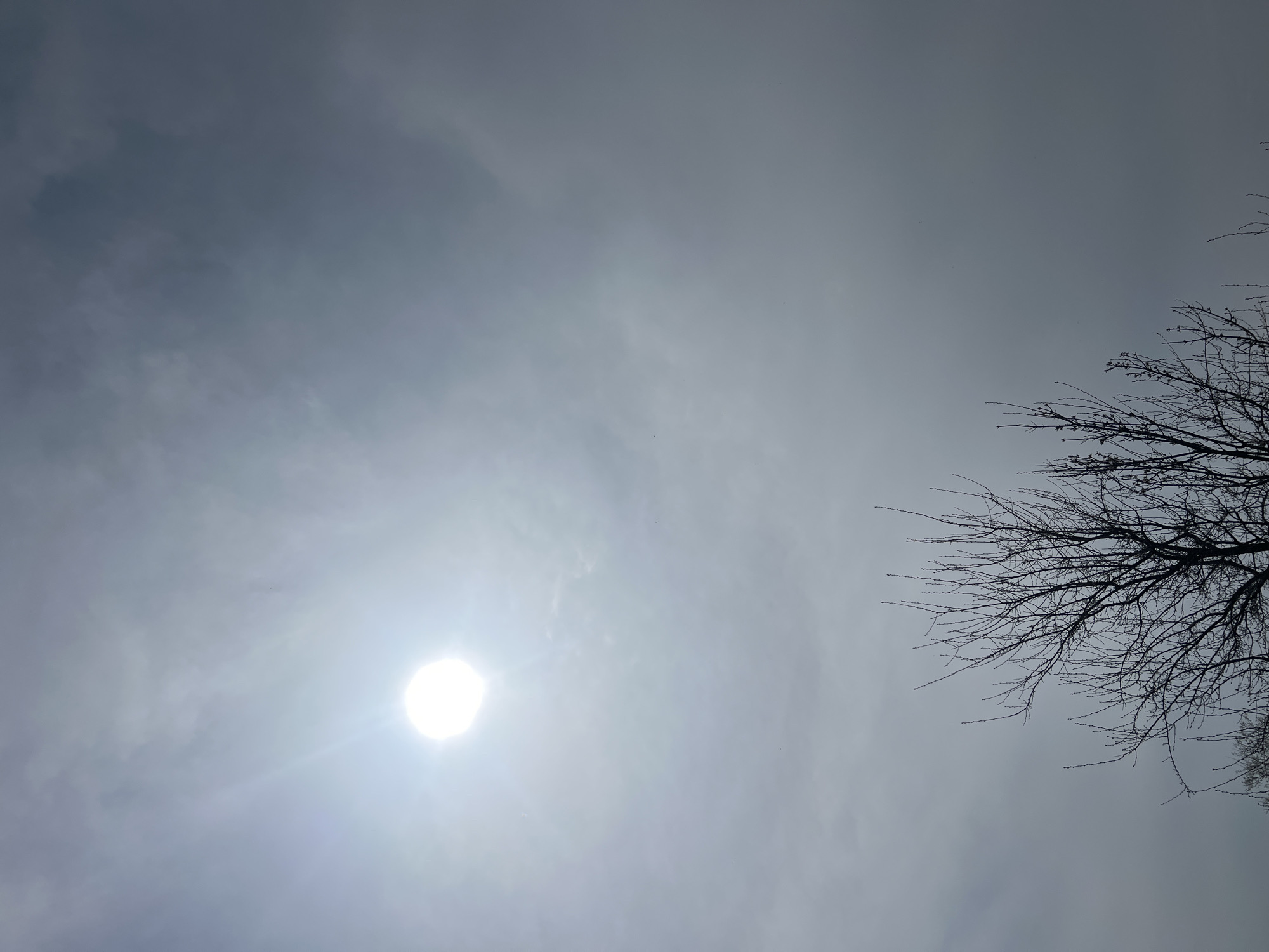 Ordinary morning scenes documented in Yambol, Bulgaria