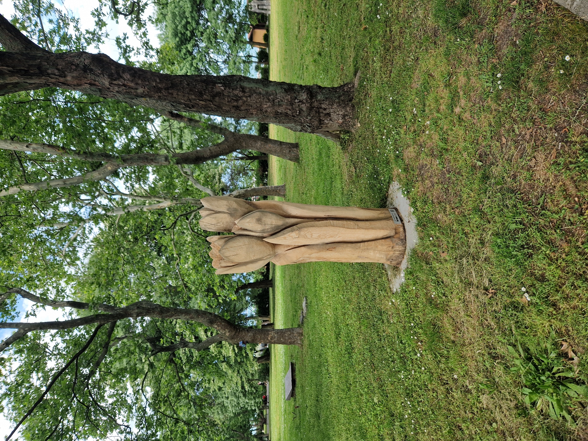 Outdoor events and activities documented across Bulgarian parks