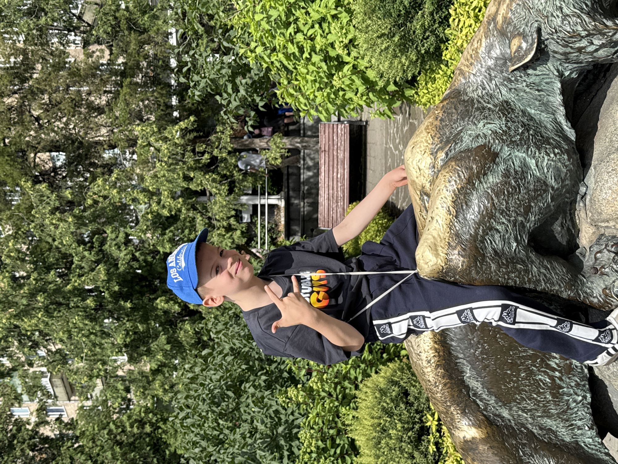 Afternoon at Moscow Zoo: flamingos and a Steller's sea eagle