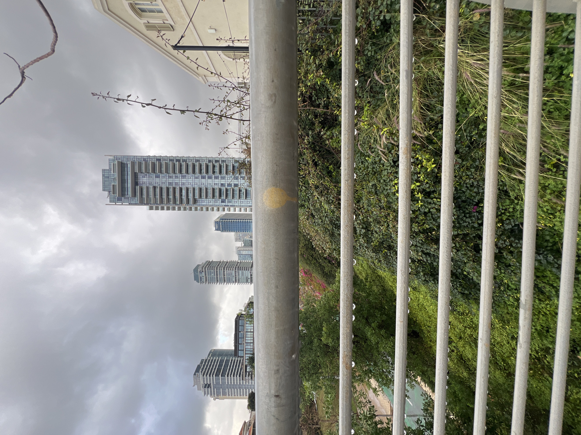Post-rain scenes captured across Tel Aviv streets and nature