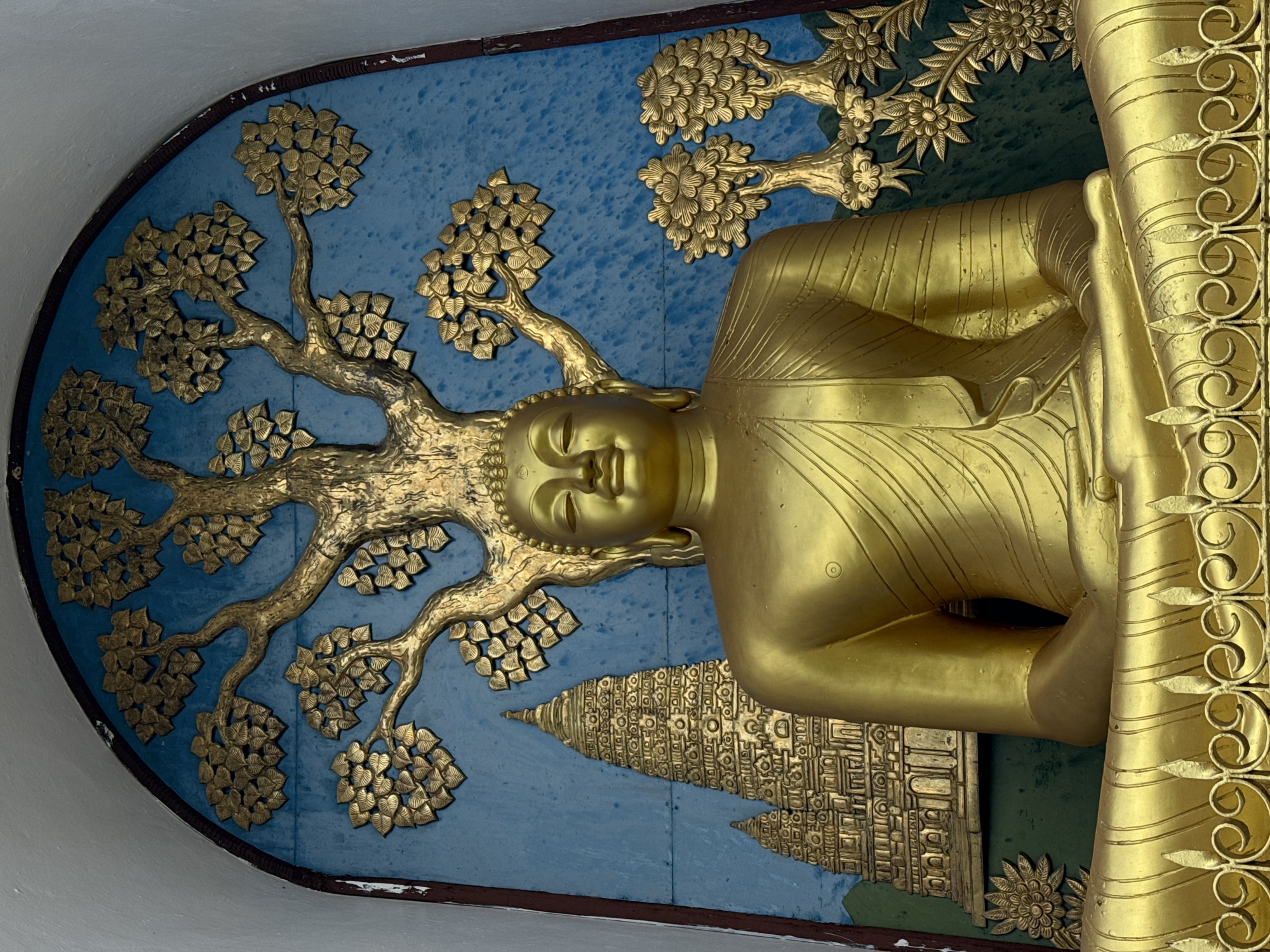 Tourist documents World Peace Pagoda Buddha statues in Pokhara