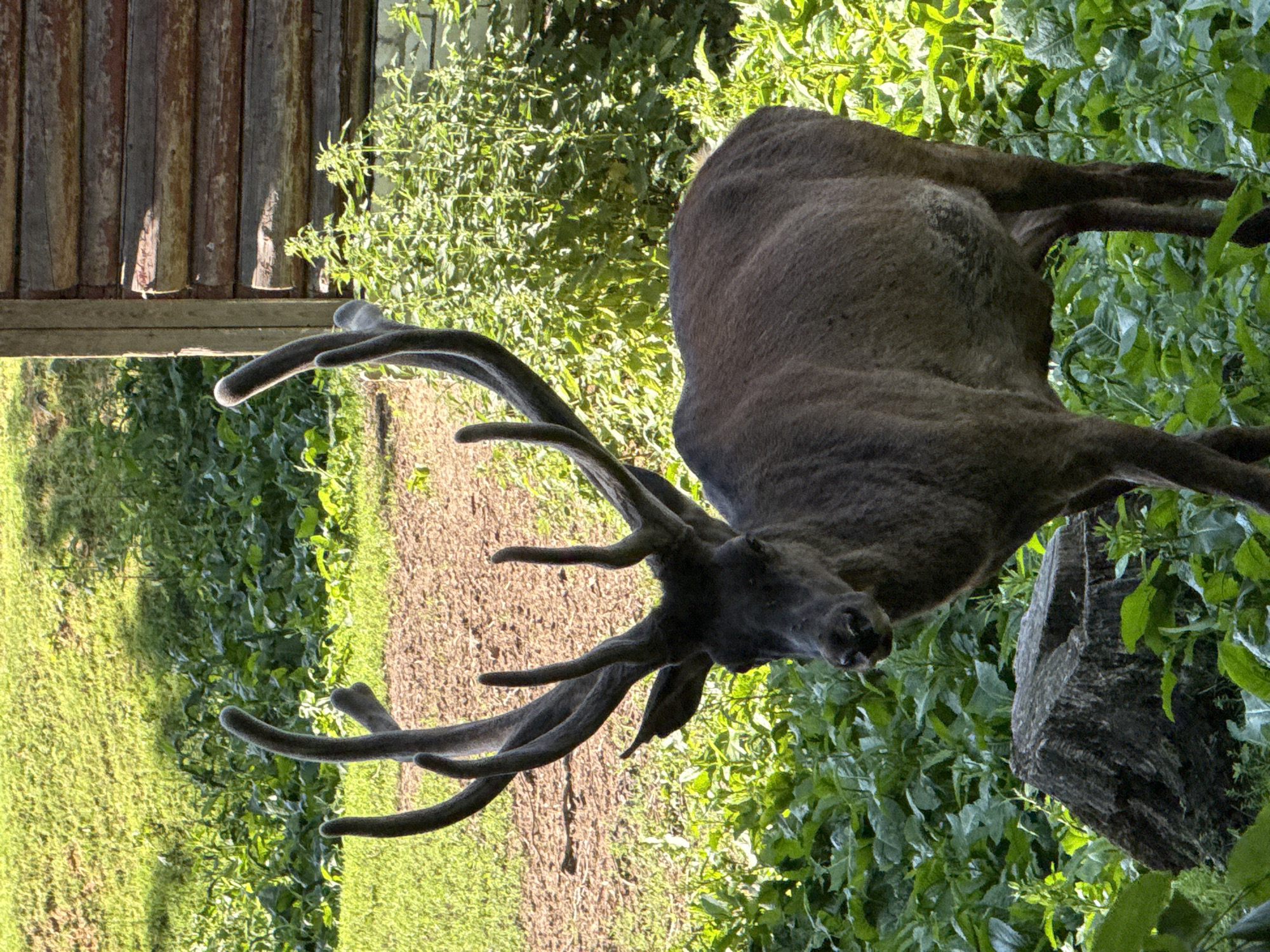 Belarus Zoo Visit Documented Through 30 Wildlife Memories