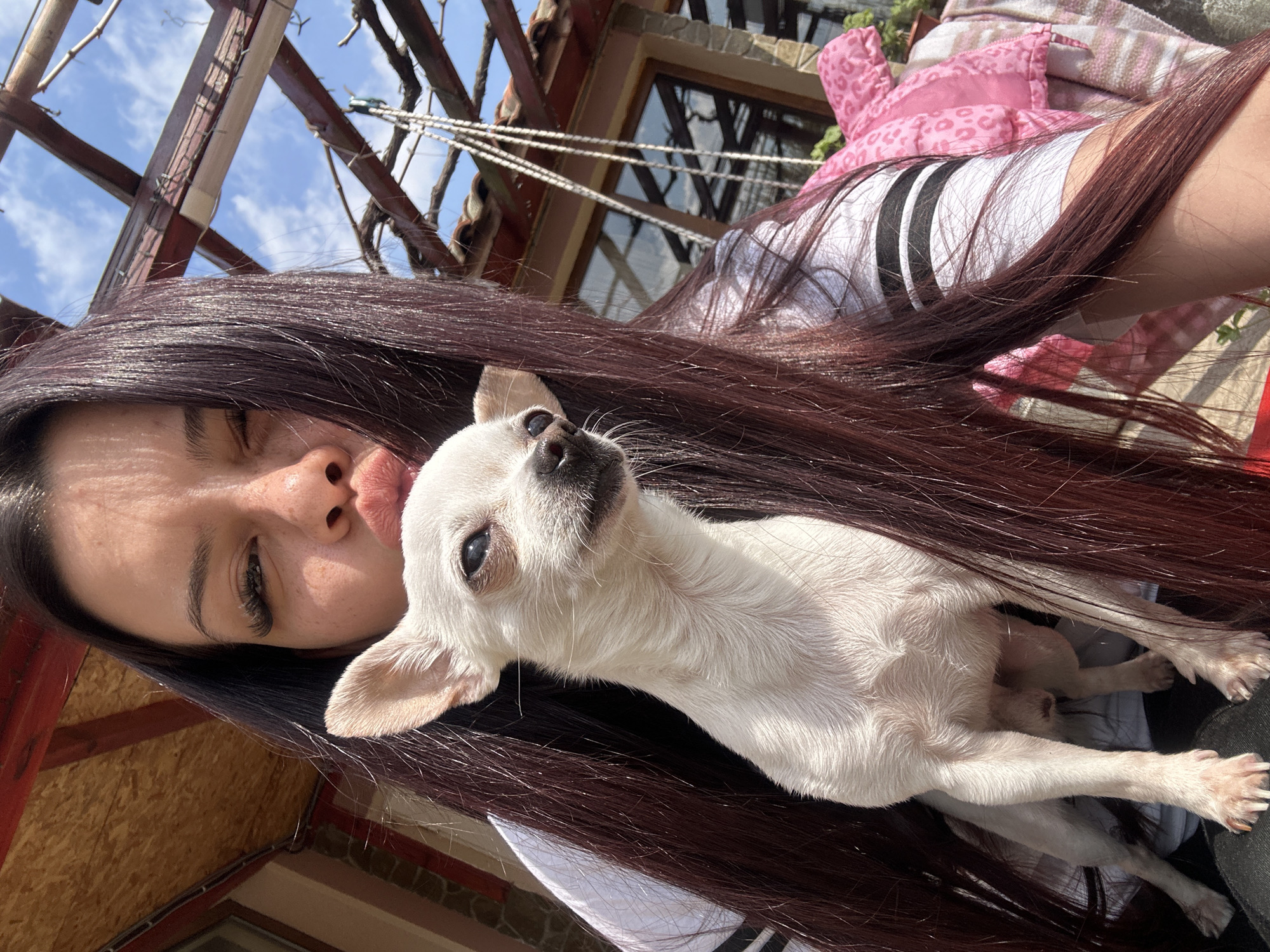 Woman takes selfies with white Chihuahua in Bulgaria