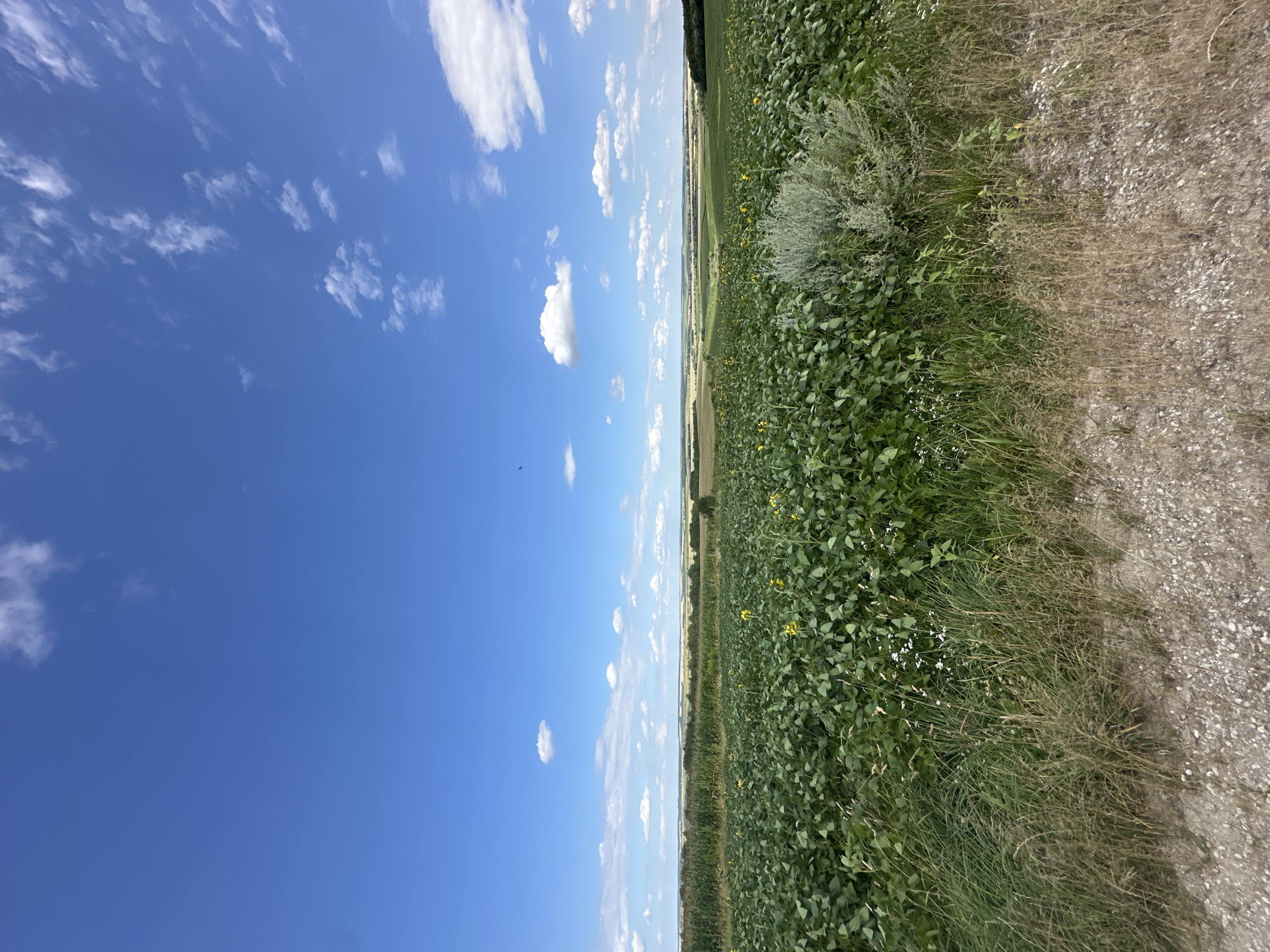 Korchivka, Ukraine