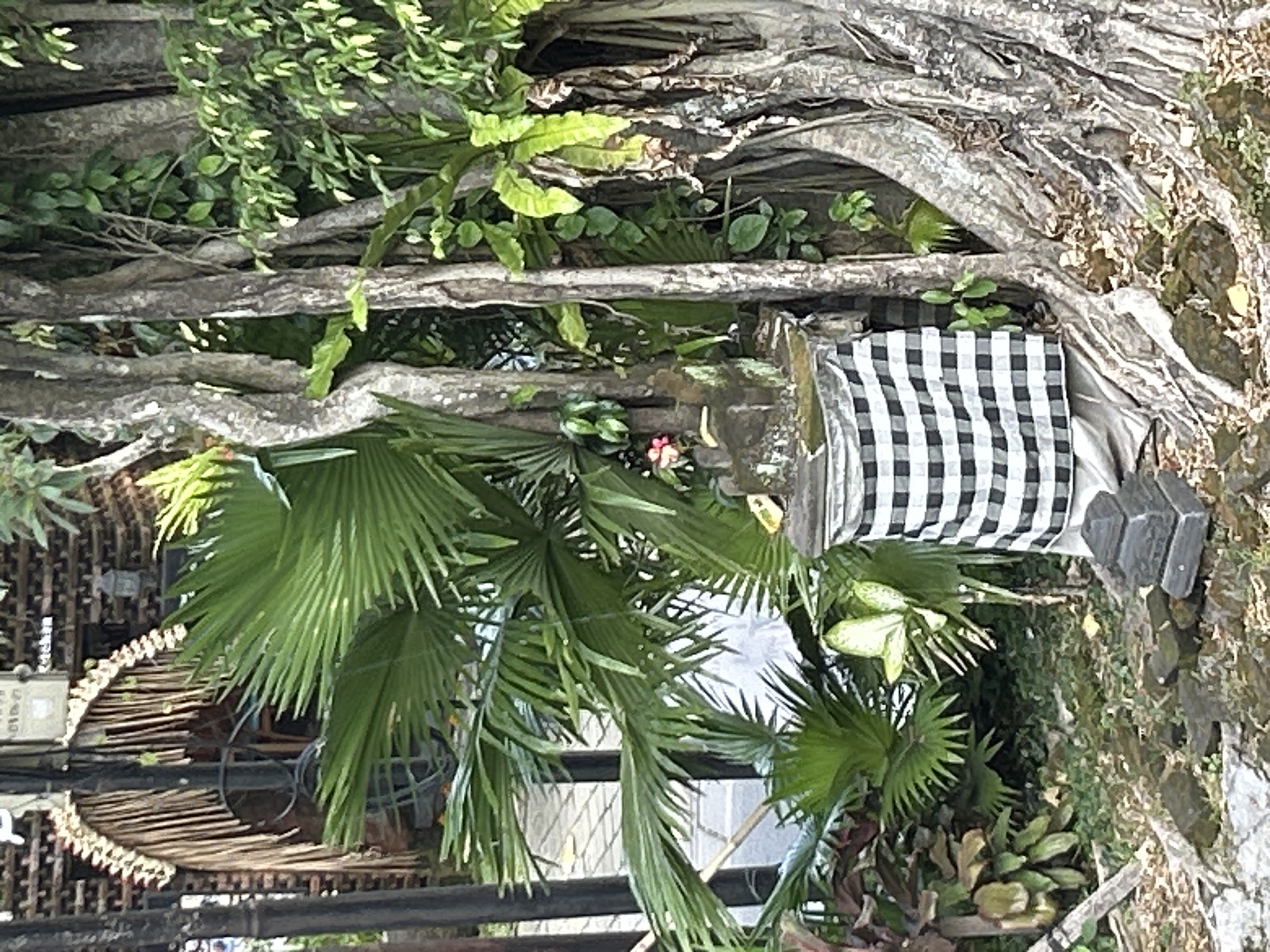 Food and street life around a classic Ubud afternoon stop