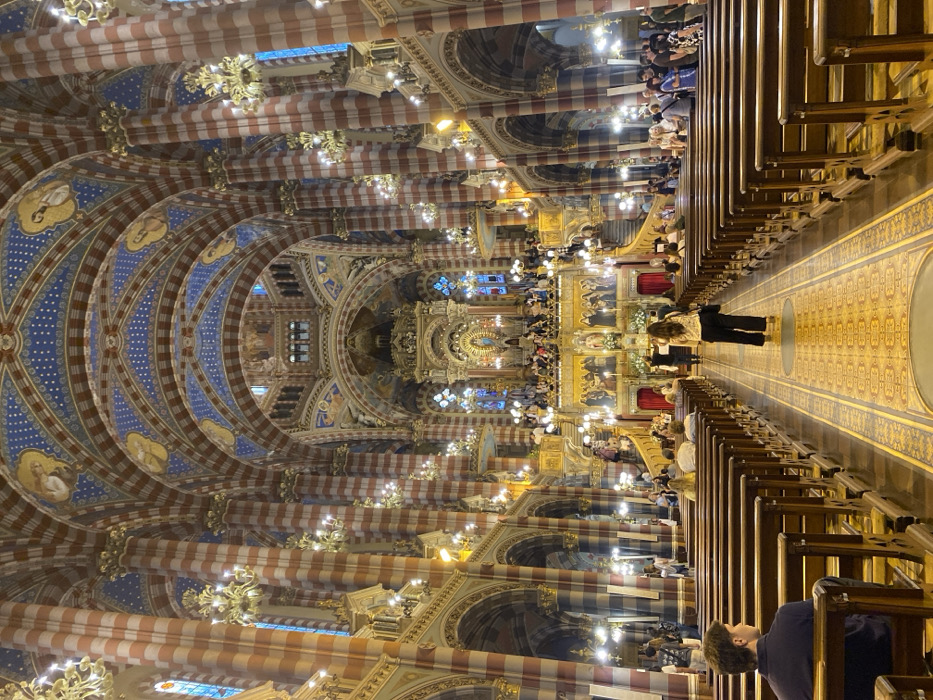 Tourist documents Buenos Aires historic churches and basilicas evening tour