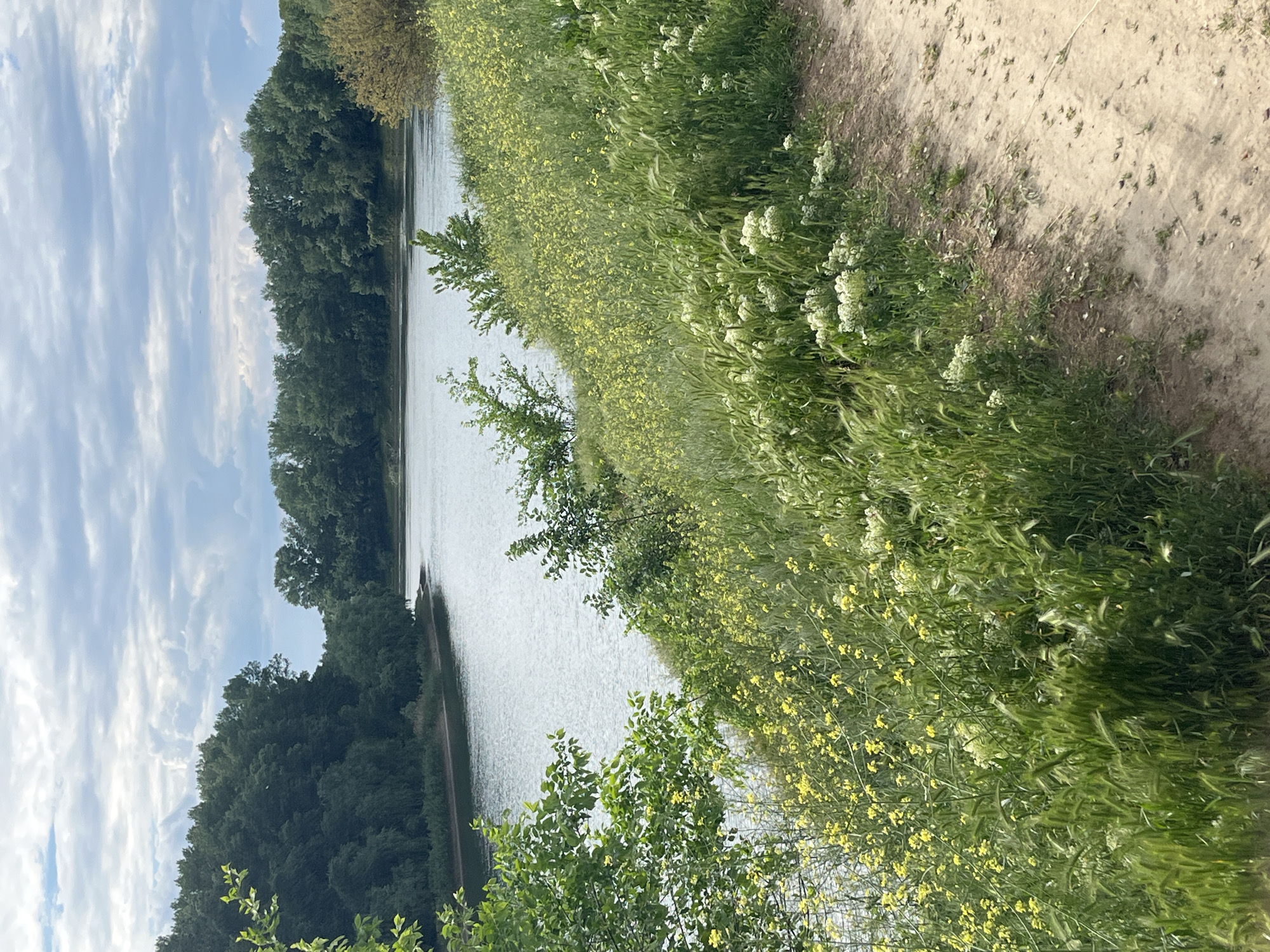 Individual documents riverside landscape in Slobozia, Moldova