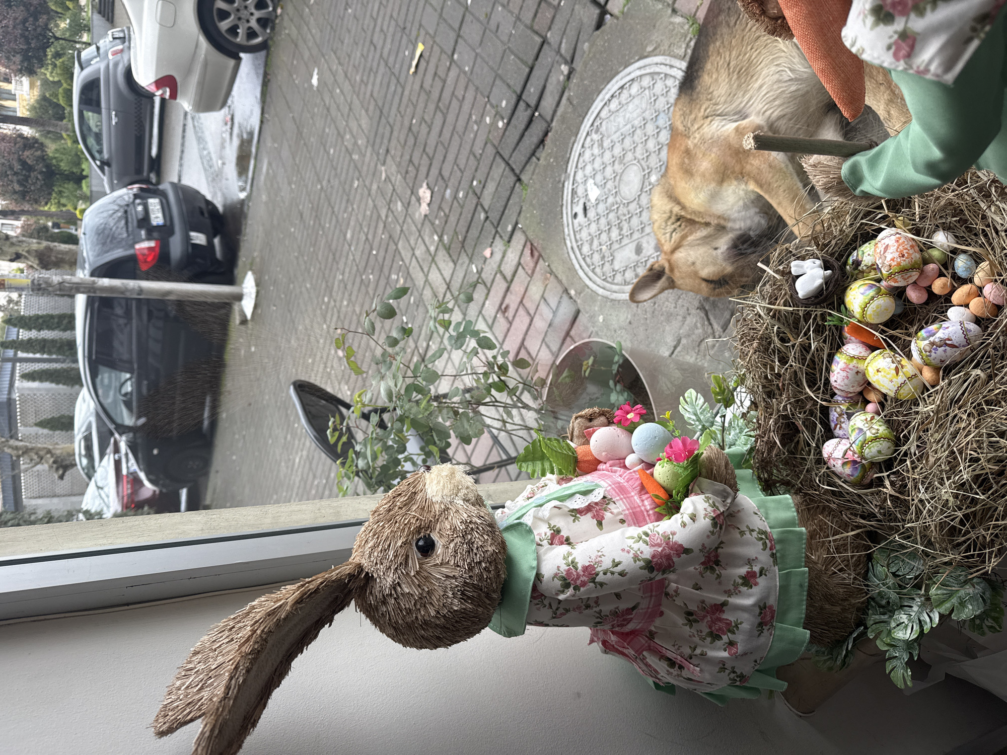 Easter display spotted in Batumi home window