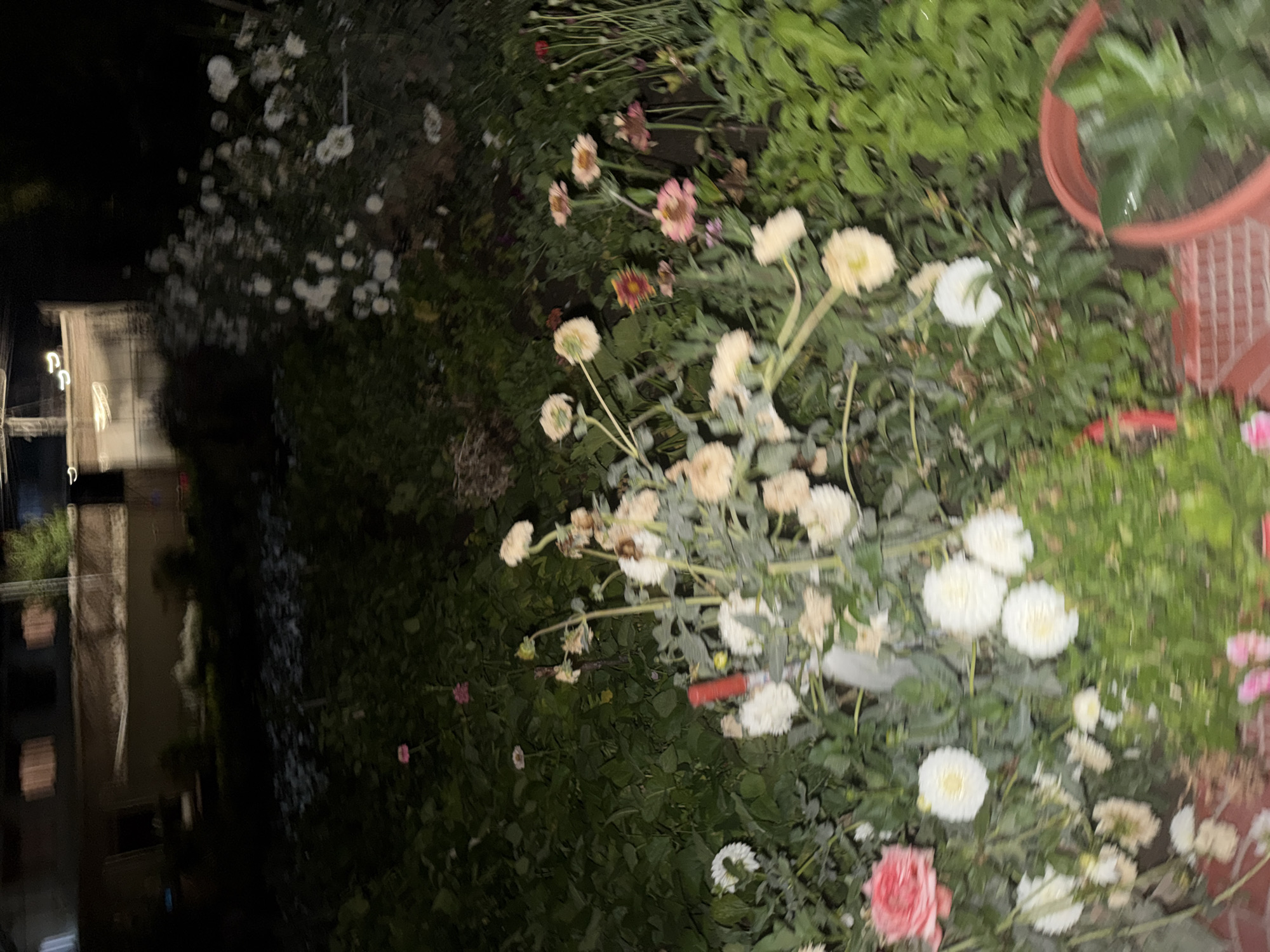 Night garden and prayer flags in Leh, Ladakh