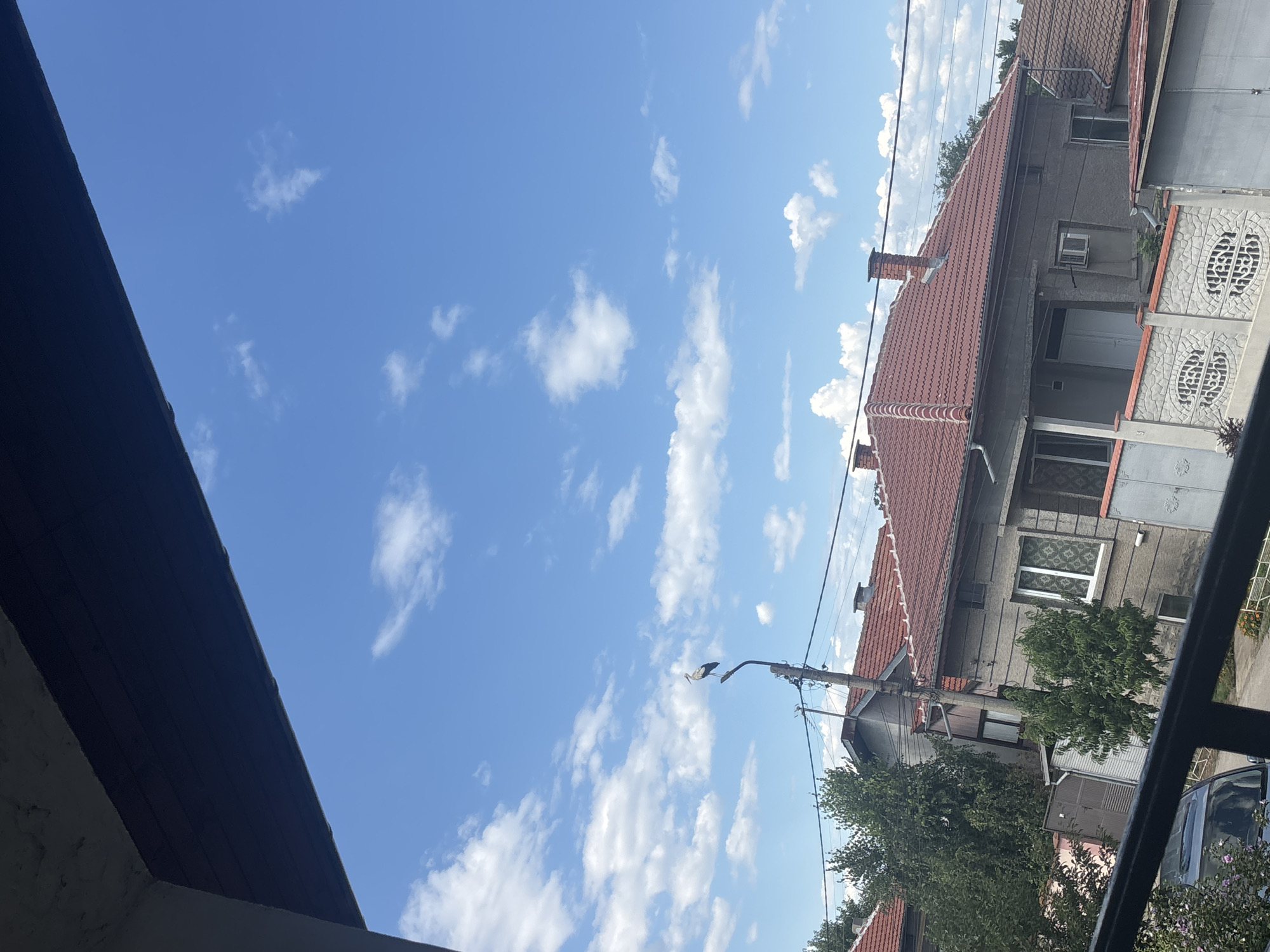 Stork perched on street lamps over Marten's rooftops