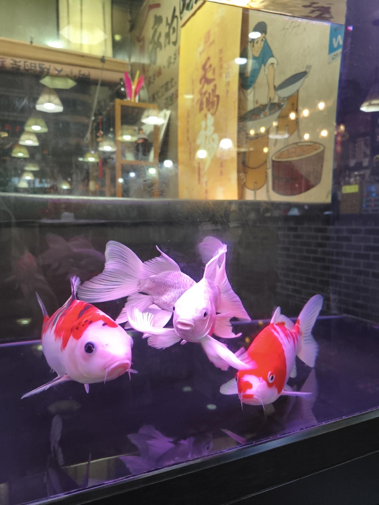 Lunch stop at a decorated Jixi restaurant with drinks and stew