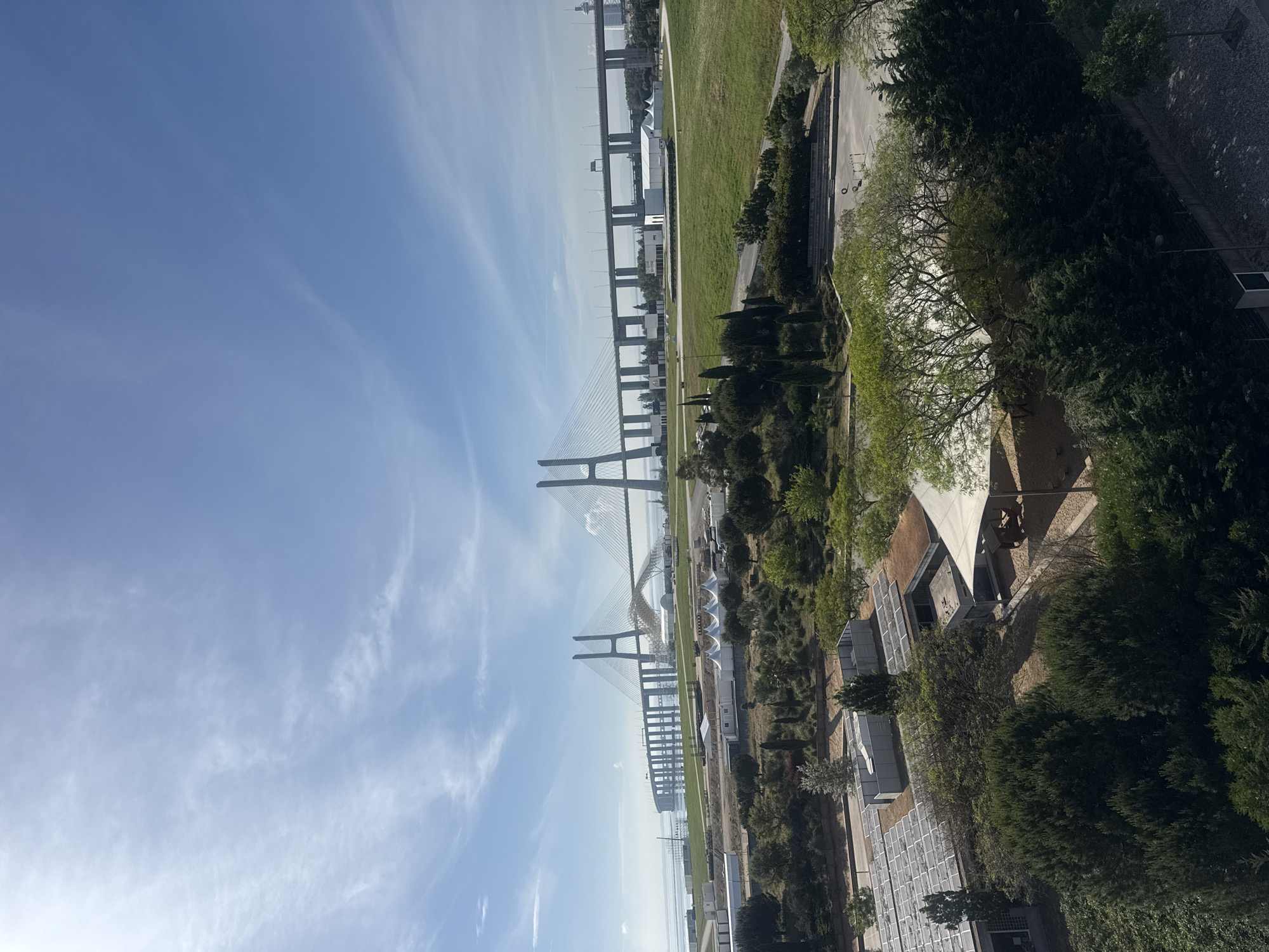 Morning balcony scene with poodle overlooking bridge in Portugal