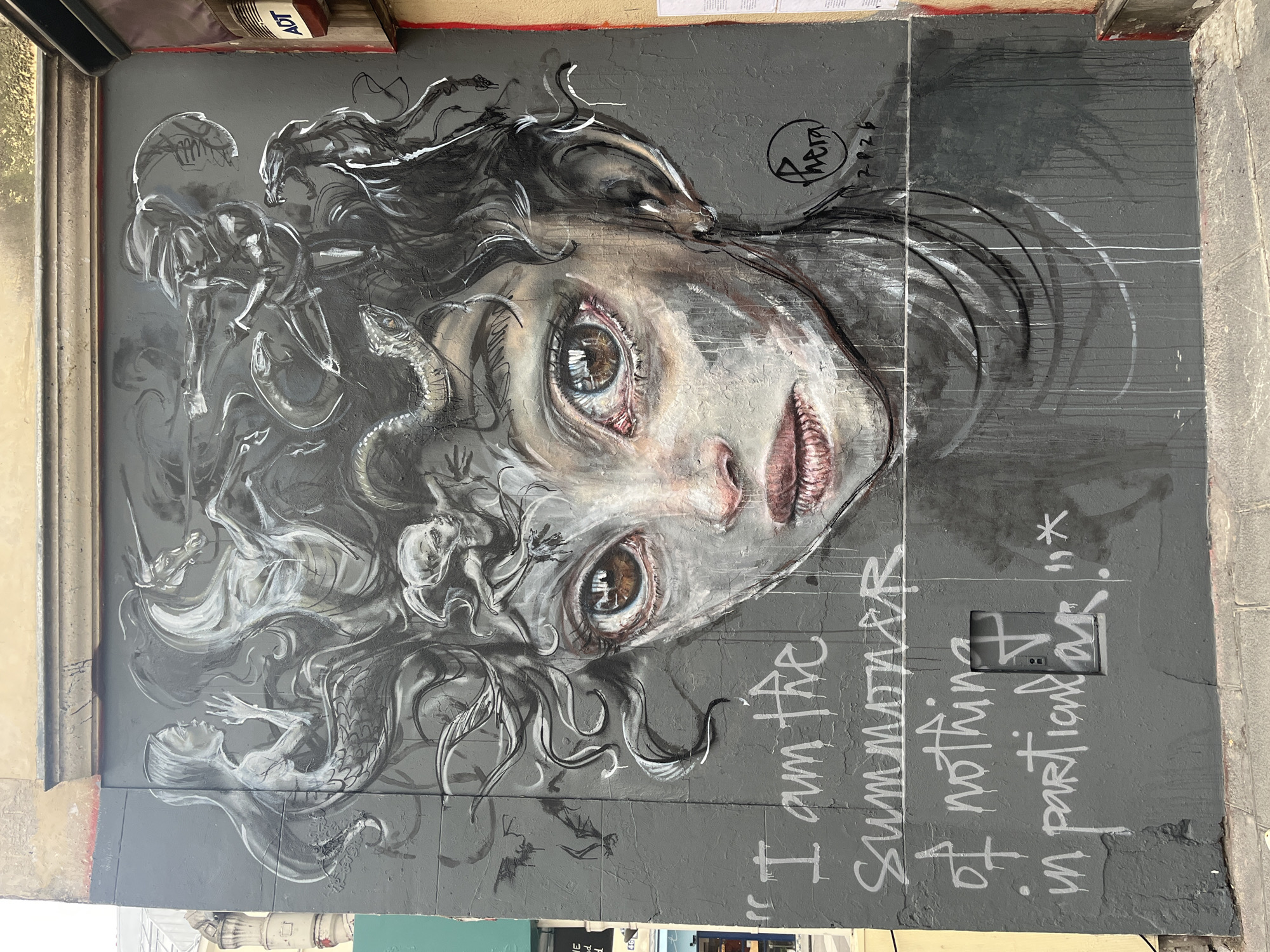 Street art documented in Paris includes Medusa mural, painted doors