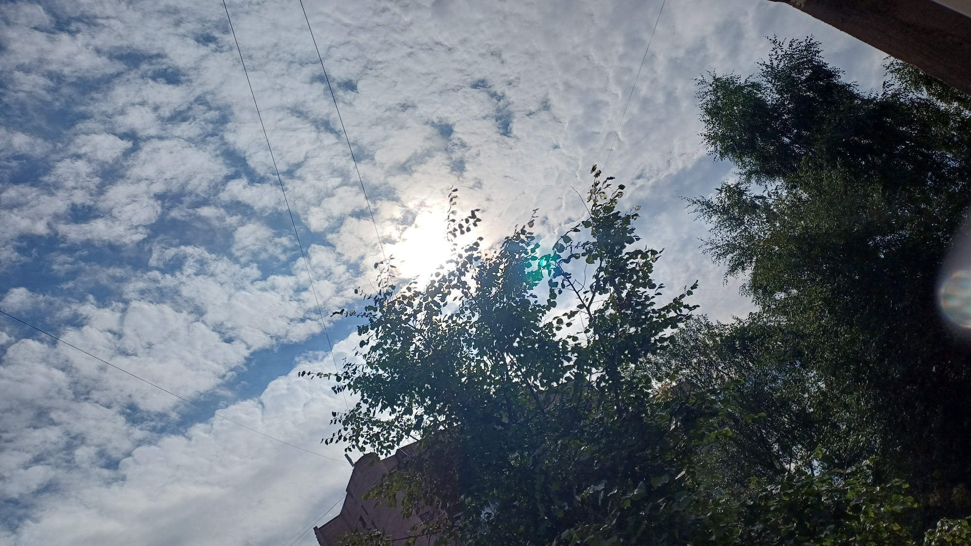 Looking up at wires, clouds, and trees in Saint Petersburg