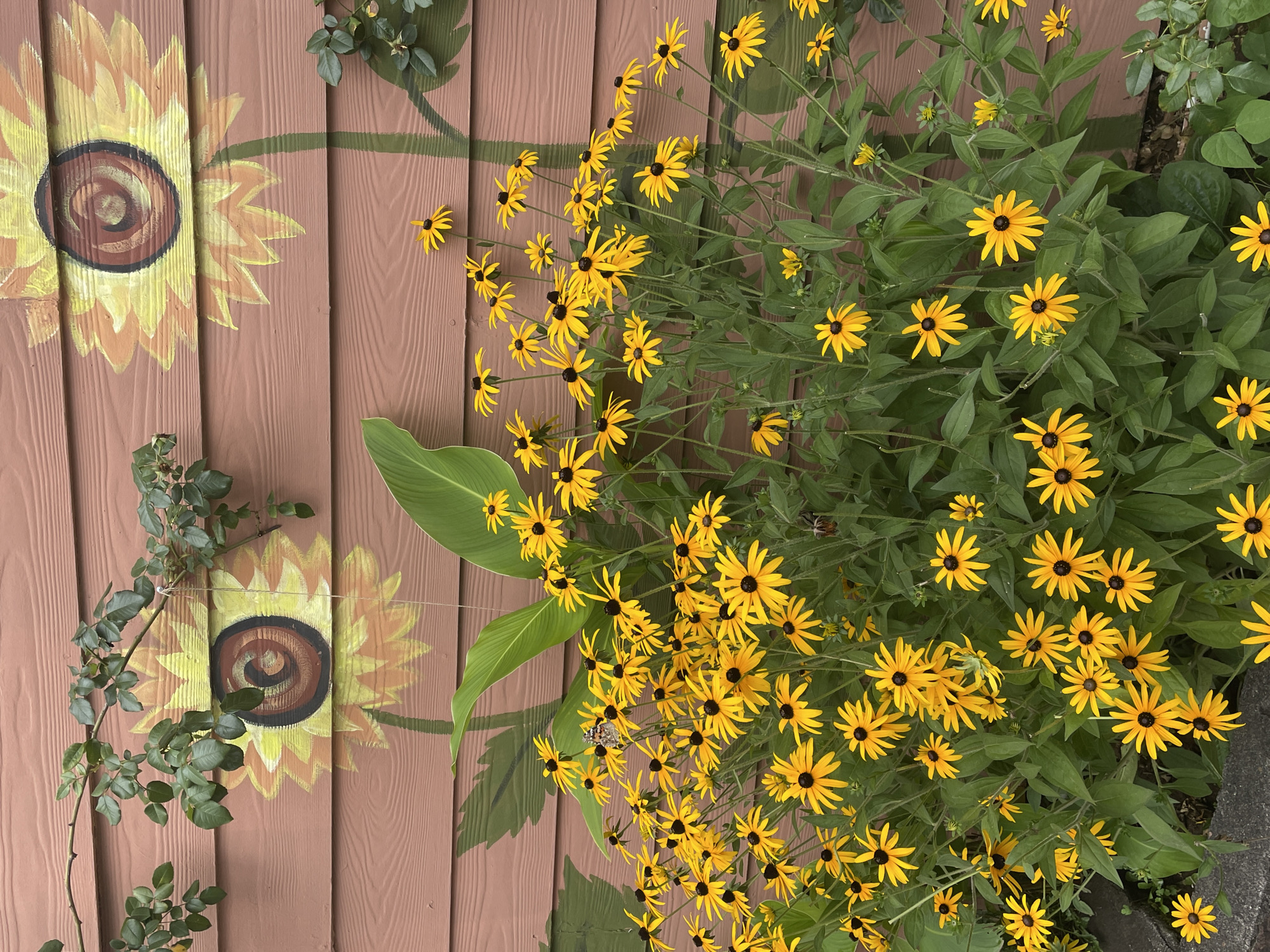 Garden moments in Batumi: flowers, a butterfly, and botanicals