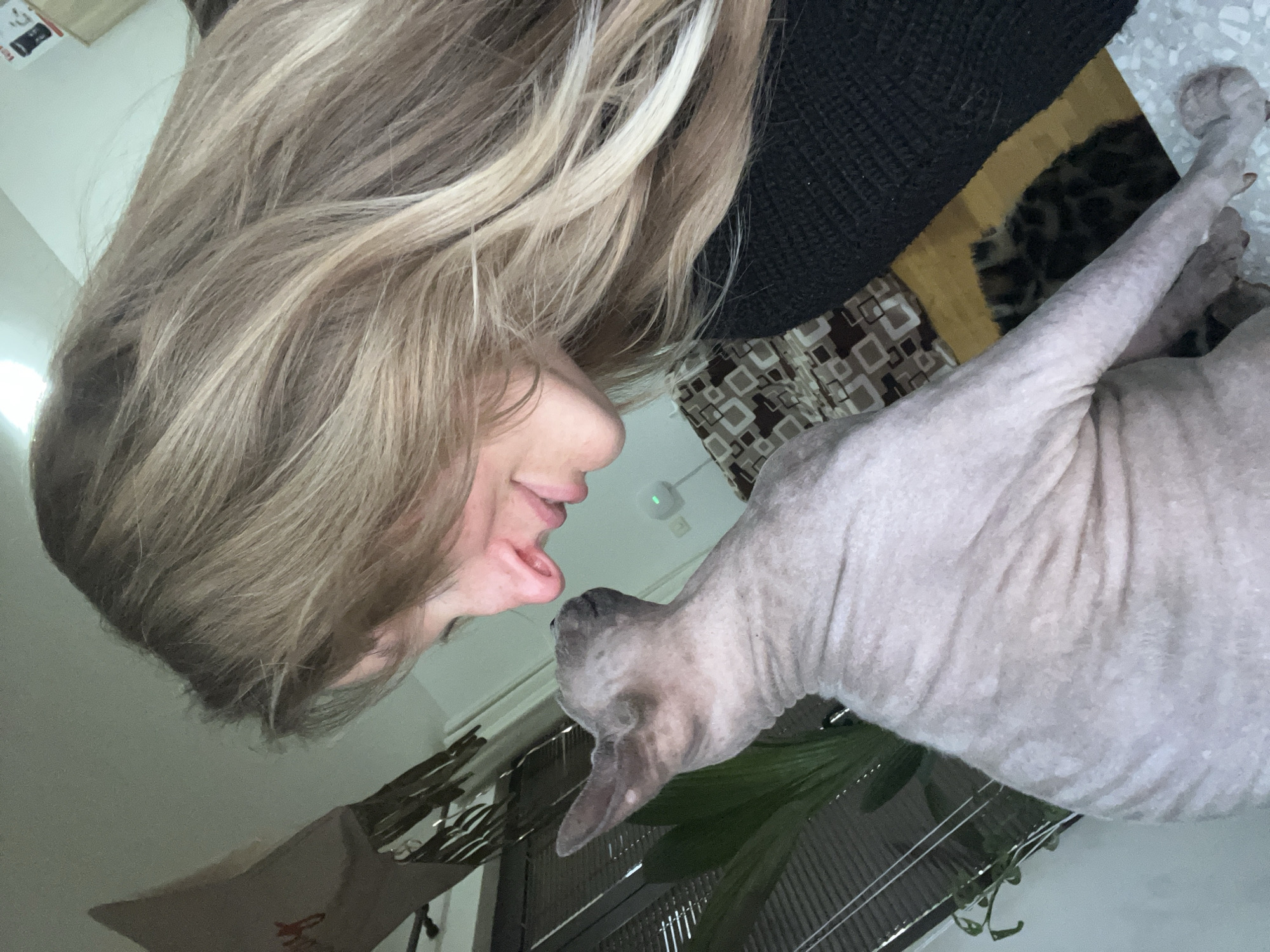 Stormy day captured in Budva through indoor moments, pets