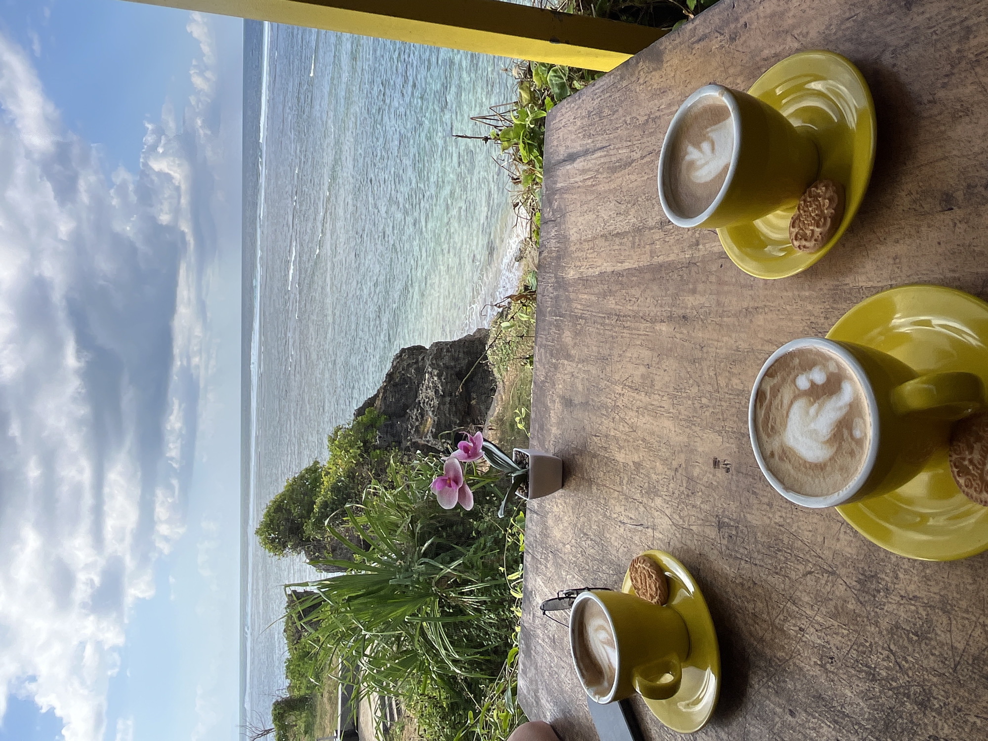 Morning coffee and monkey encounters documented in Kuta Selatan