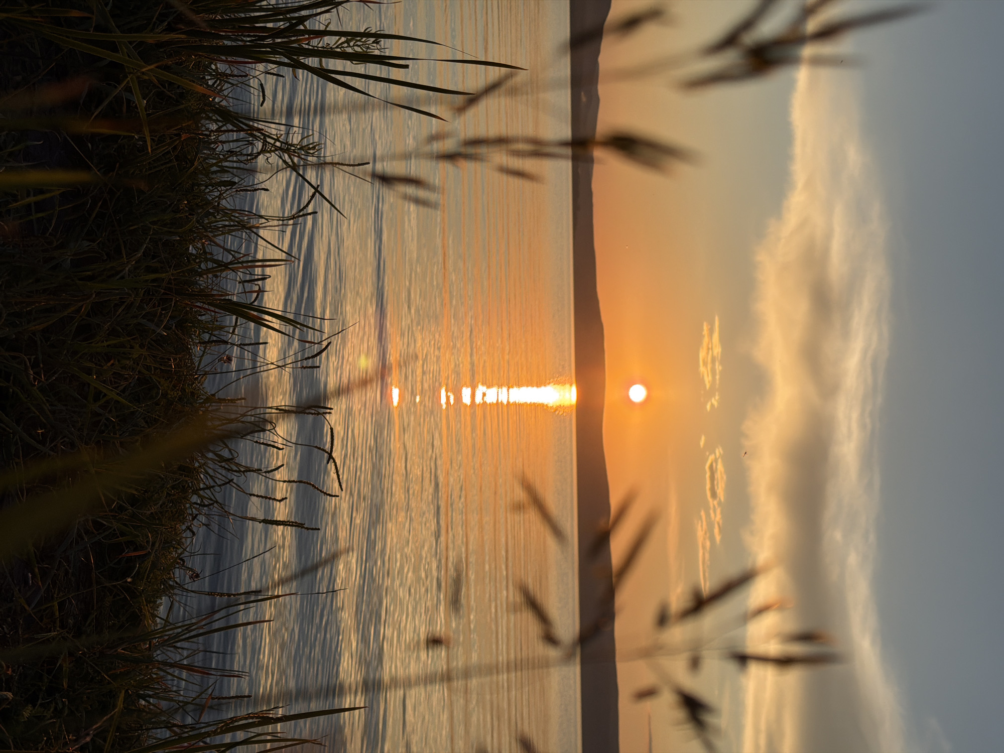 Sunset over a Siberian waterway, framed through reeds and trees
