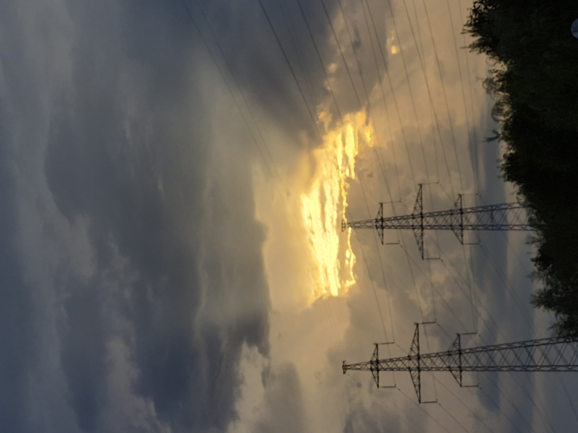 Moscow outskirts at golden hour: pylons, wildflowers, and stormy skies