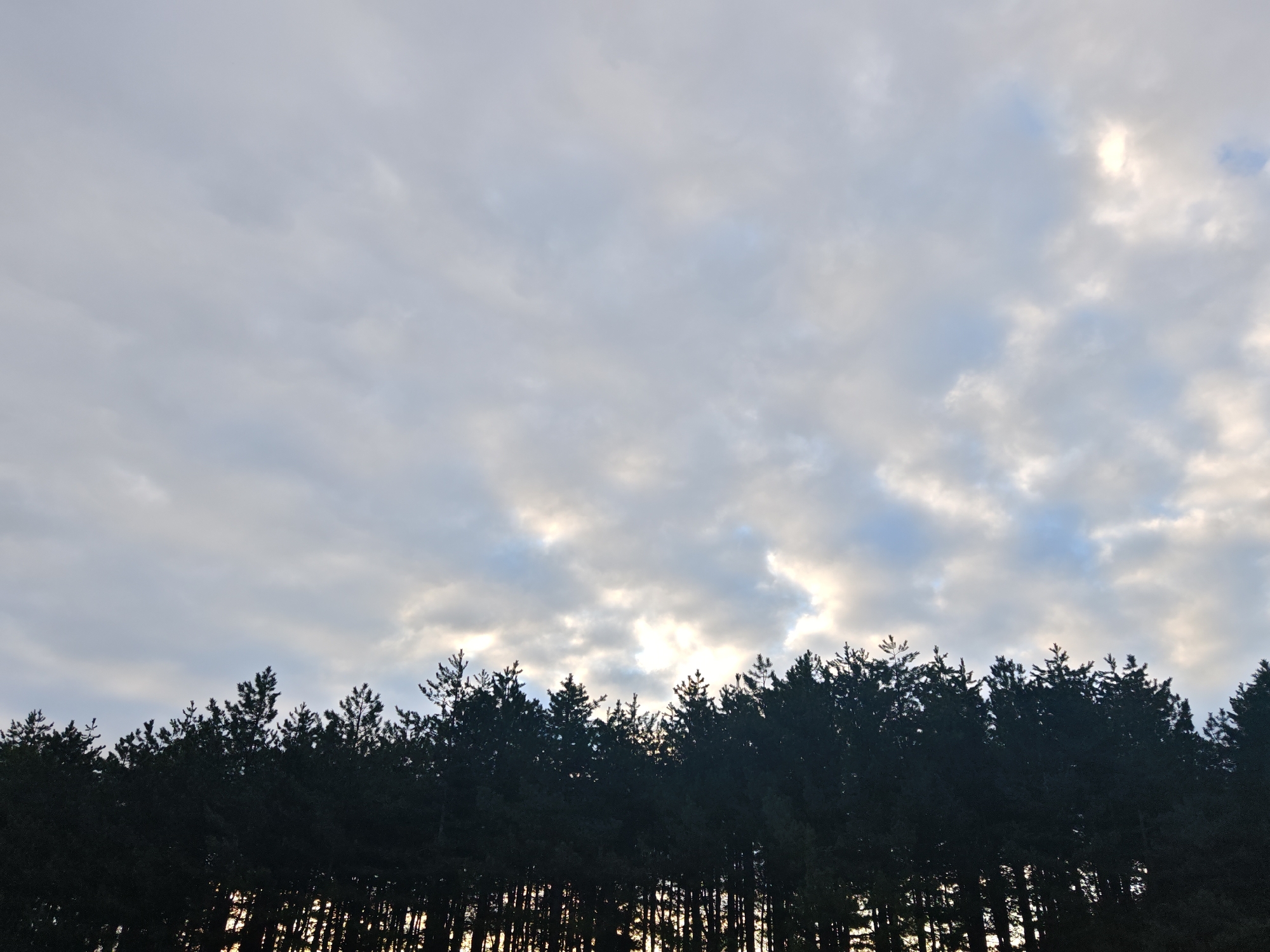 Dawn cloudscape photographed over forest in Vratsa, Bulgaria