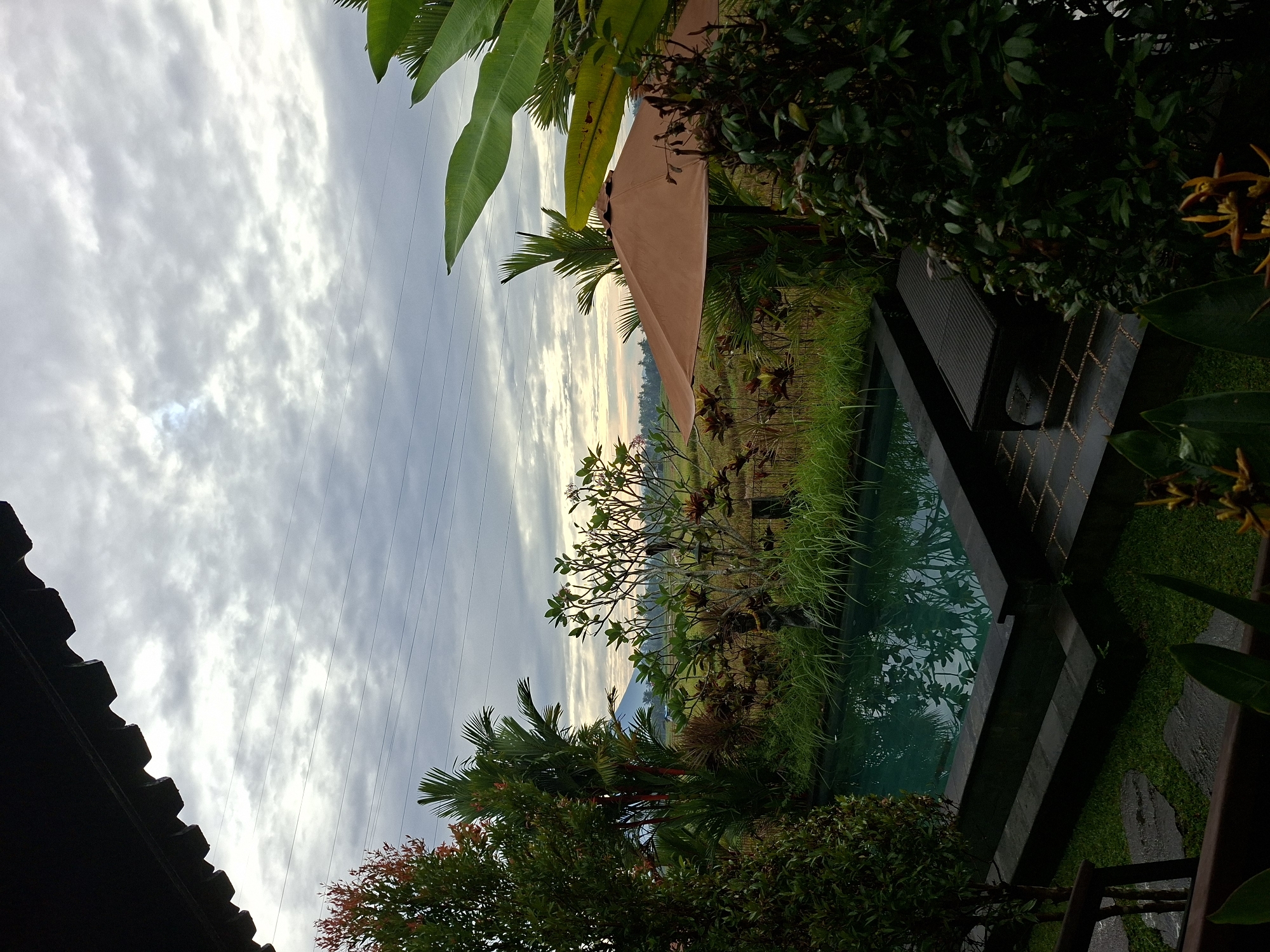 Tropical landscape scenes documented in Ubud, Indonesia