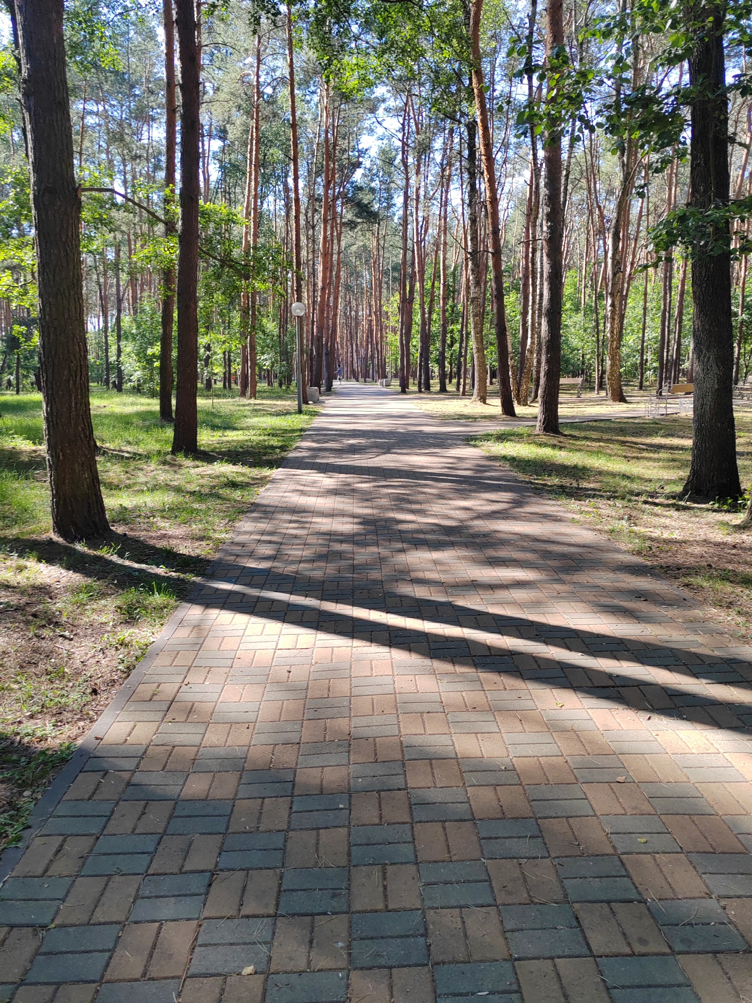 Afternoon stroll through parks and cafes documented in Brest, Belarus