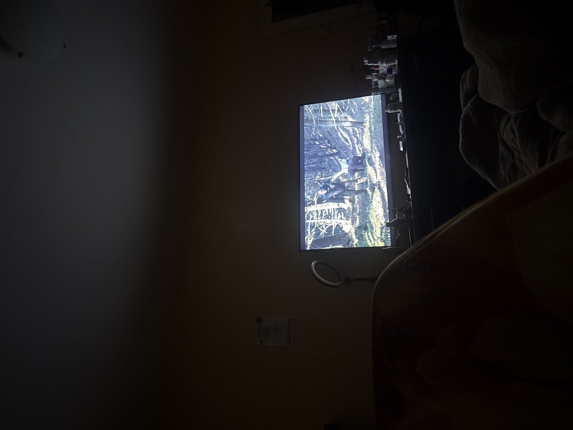 TV displays forest scene in low-lit Sofia room