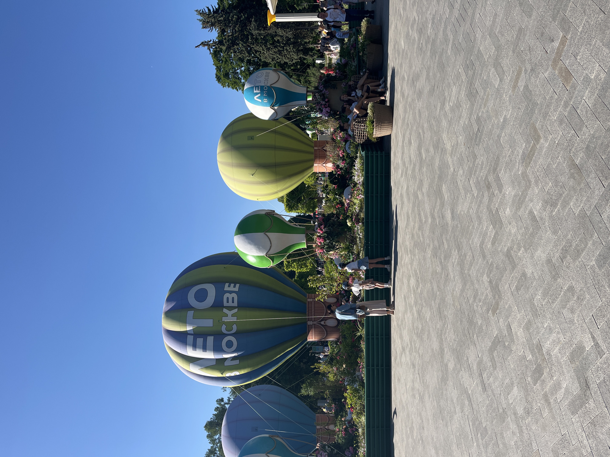 Hot air balloon display observed in tree-lined public space