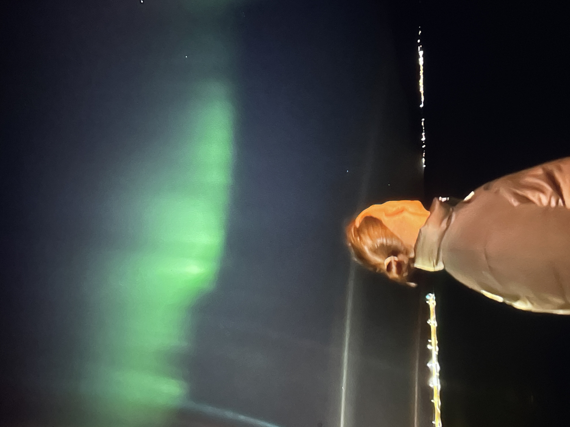 Person witnesses green aurora borealis display in night sky