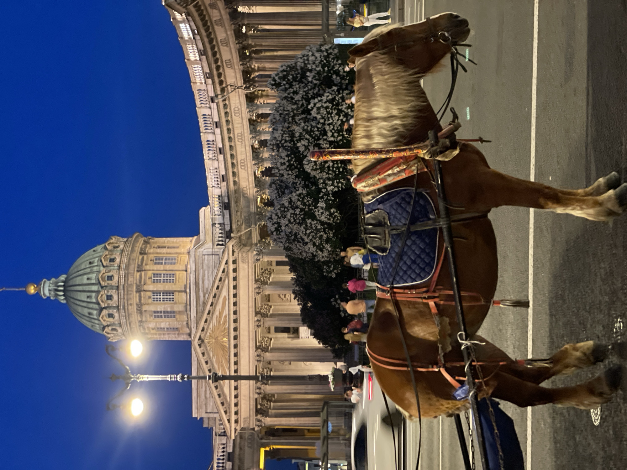 Evening architectural documentation across central Saint Petersburg landmarks