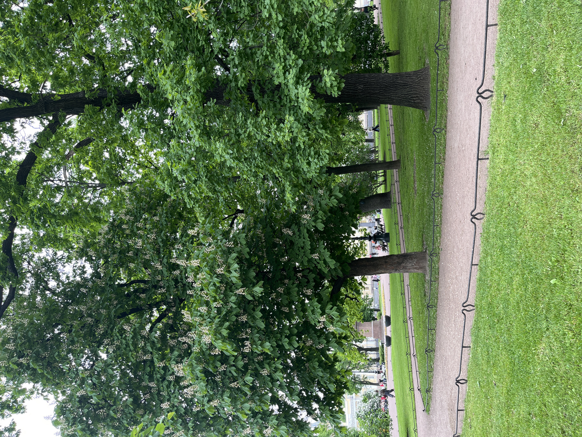 Afternoon walk documented through Saint Petersburg parks and landmarks