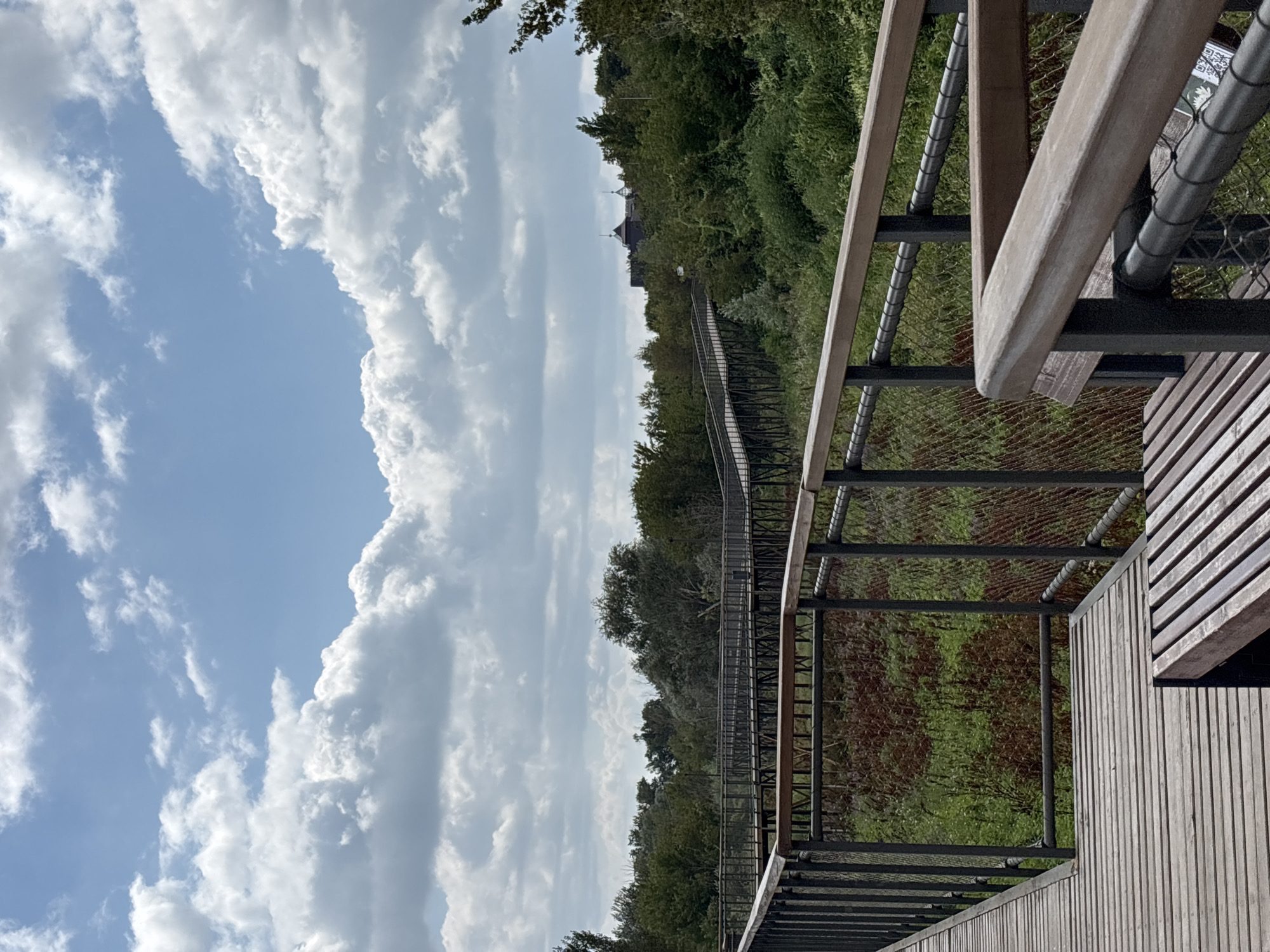 Morning visit to a nature boardwalk and park in Orenburg