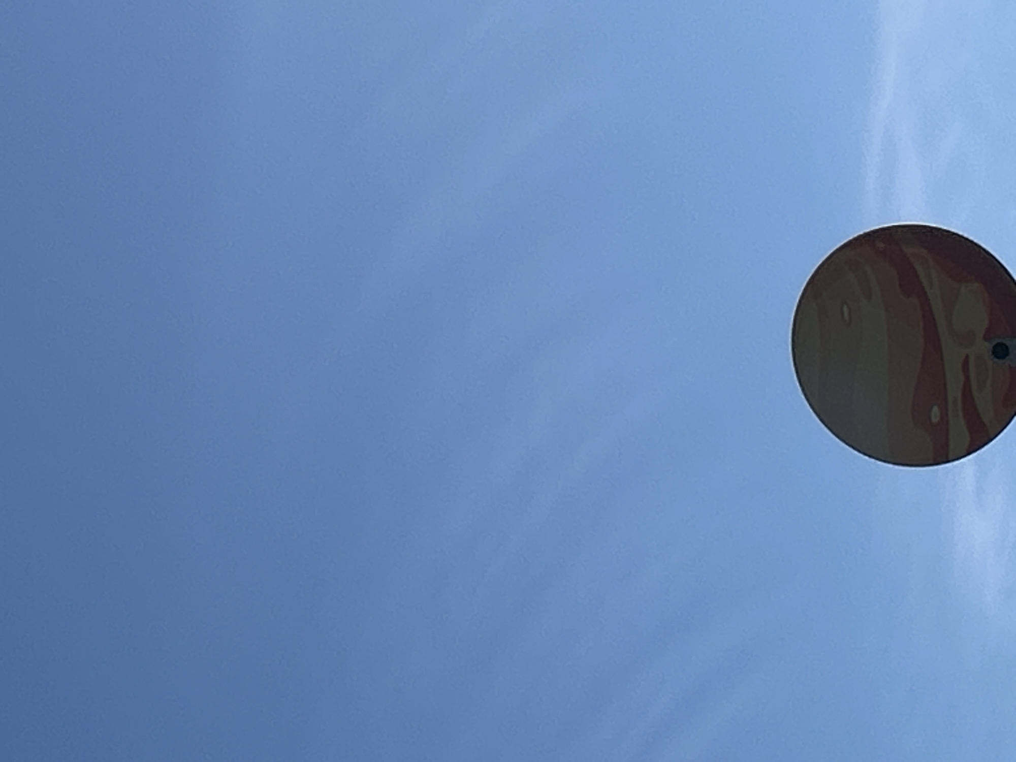 Blue skies, street art, and birds in Helsingborg