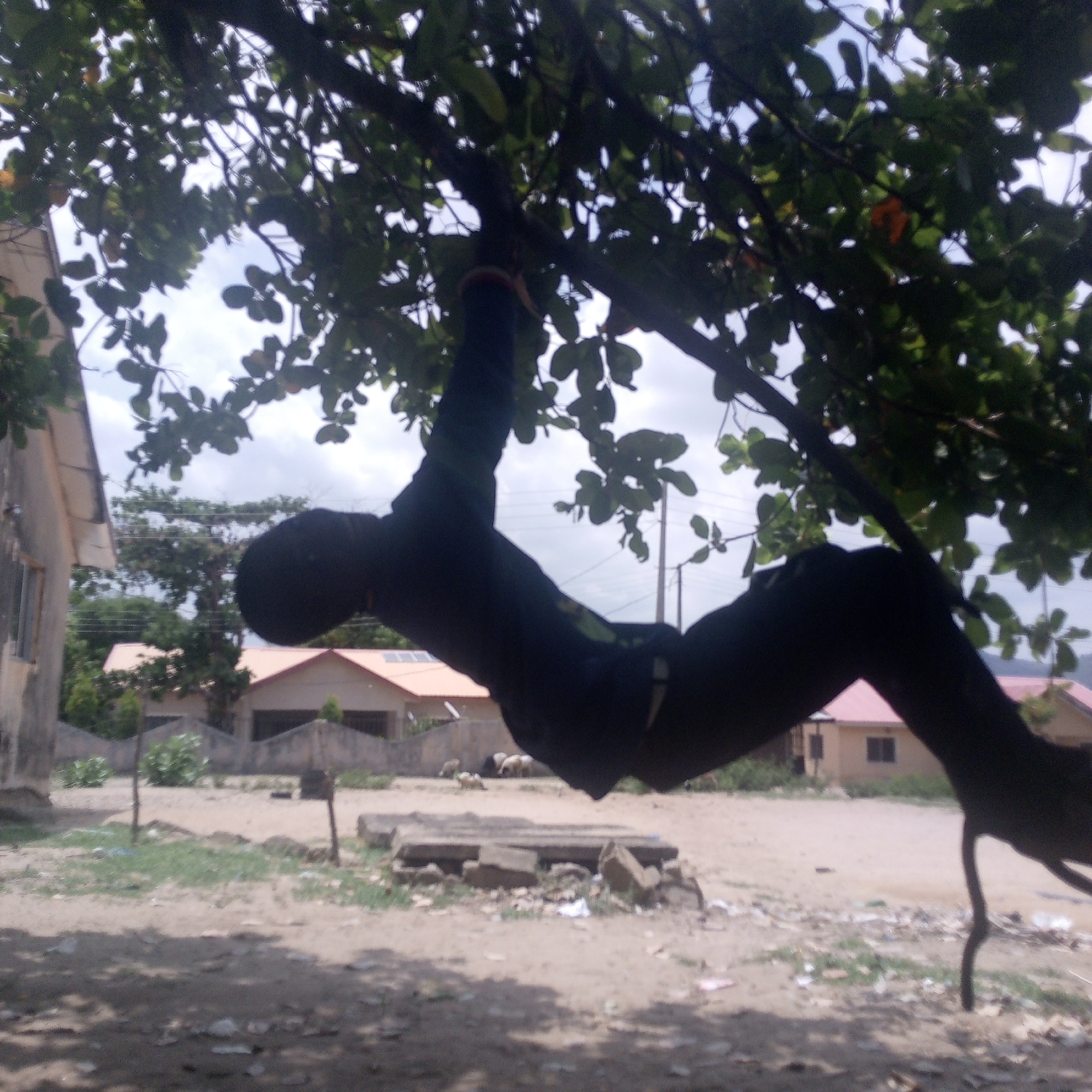 Rural life moments documented in Adankolo, Nigeria