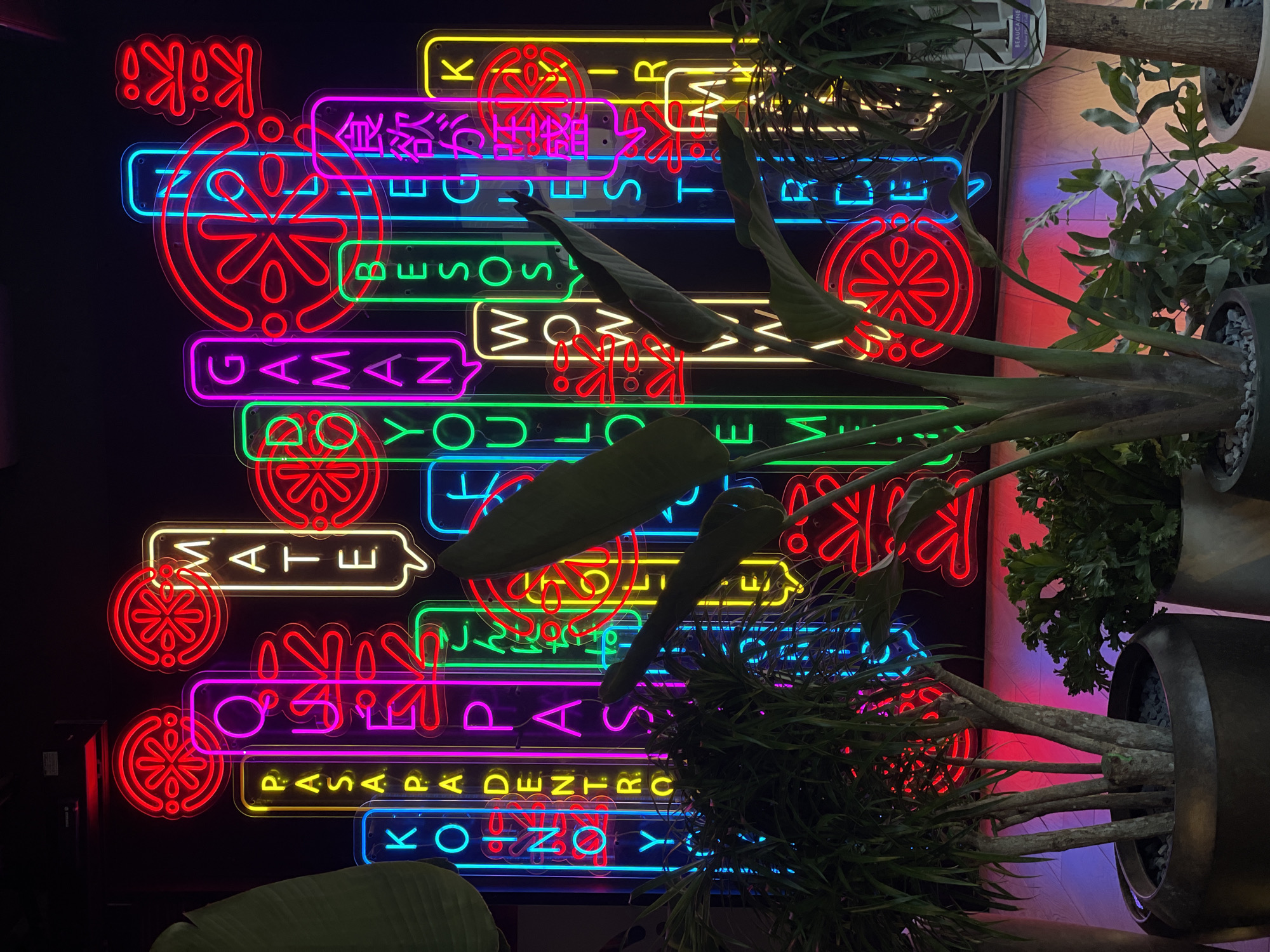 Colorful neon sign display captured at Tenerife venue